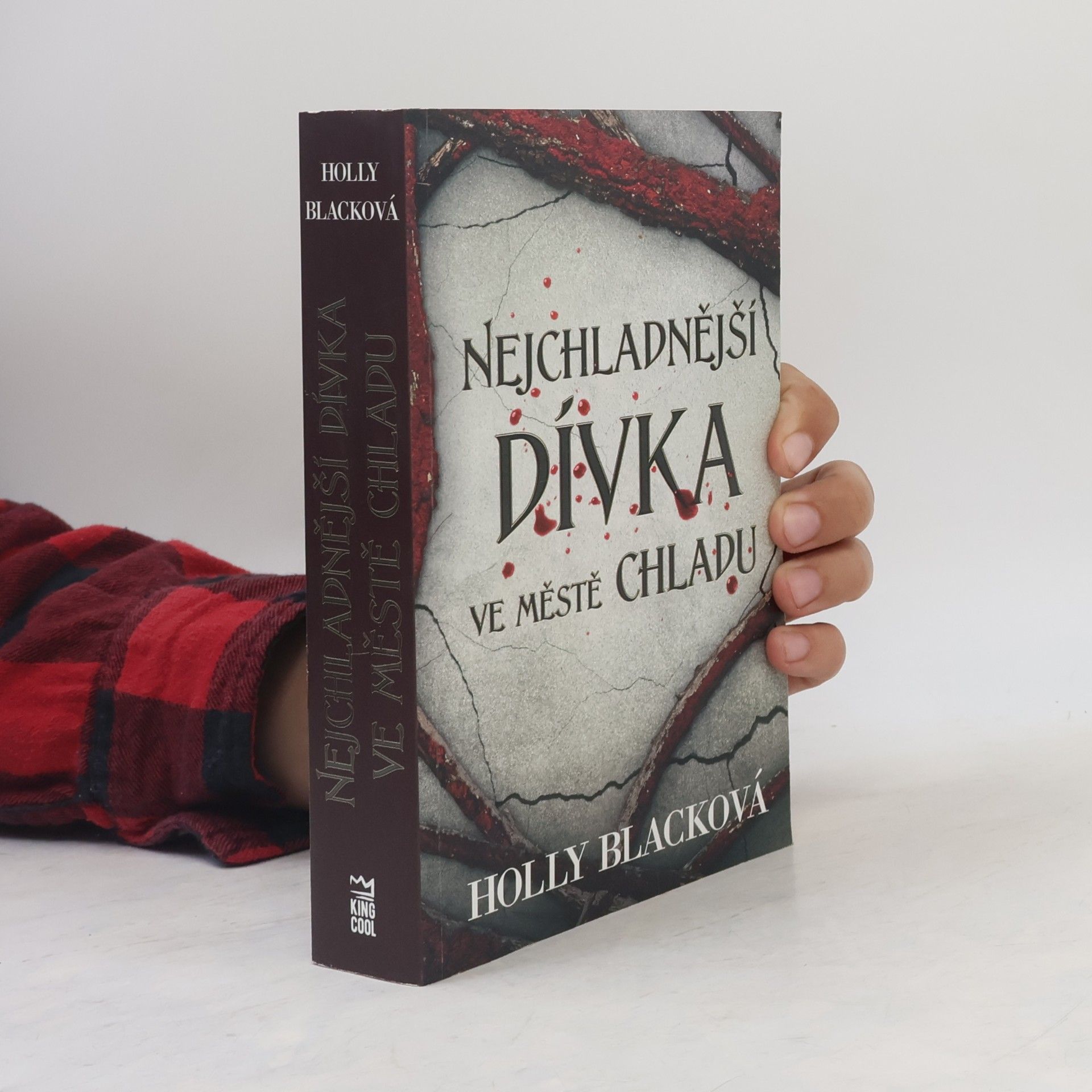 Holly Black Nejchladnější dívka ve městě chladu