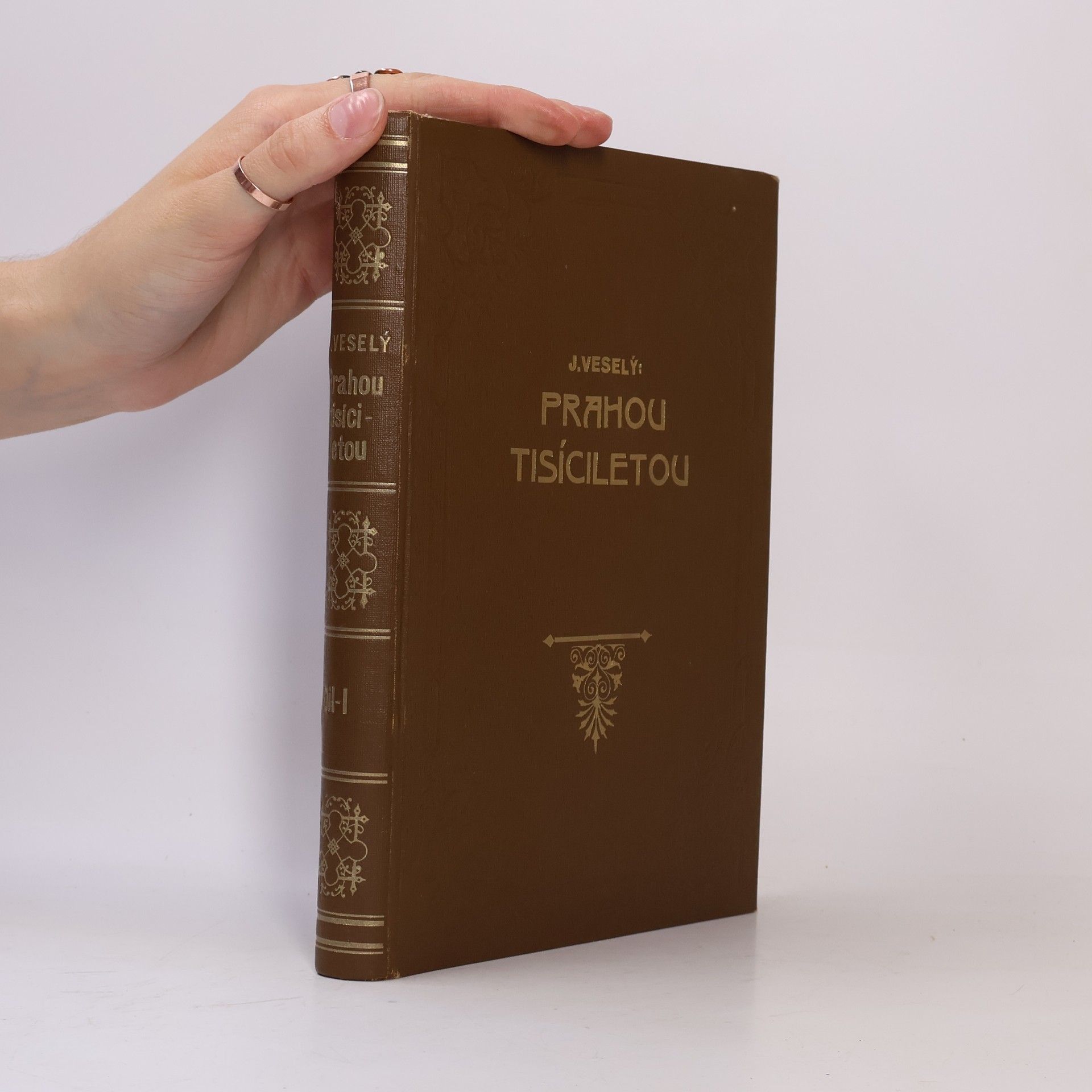 Josef Veselý Prahou tisíciletou II.