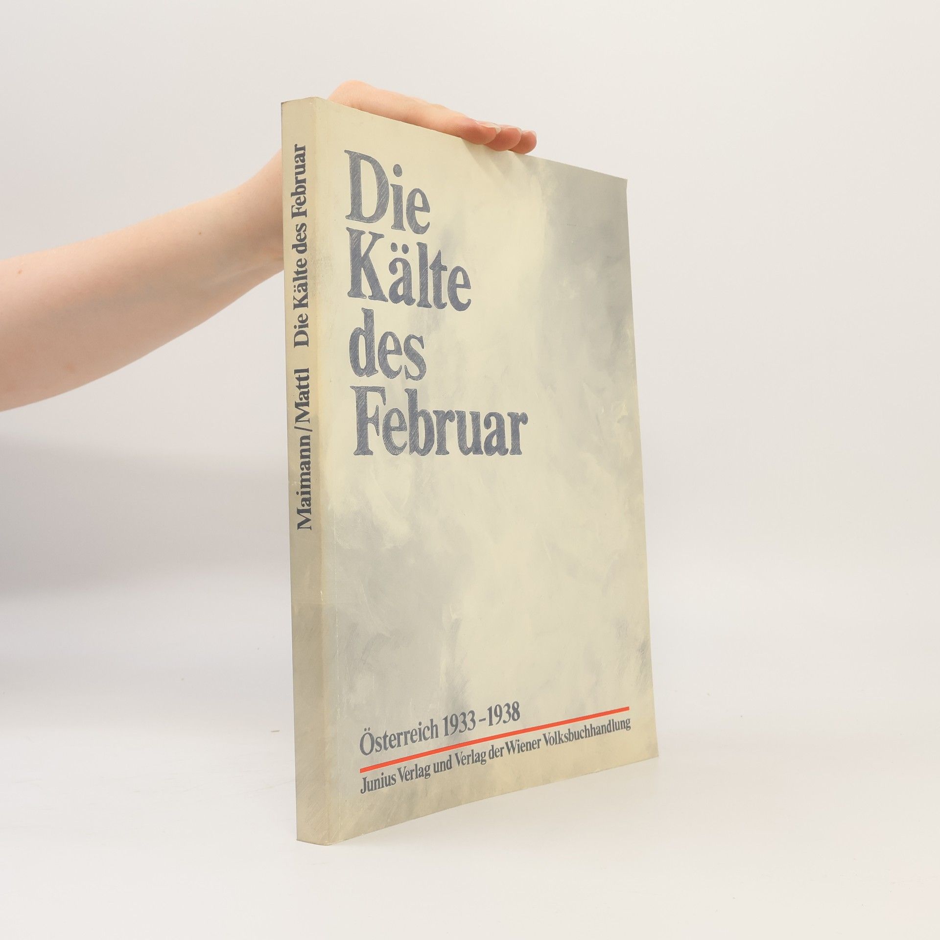 Autorenkollektiv Die Kälte des Februar: Österreich 1933–1938