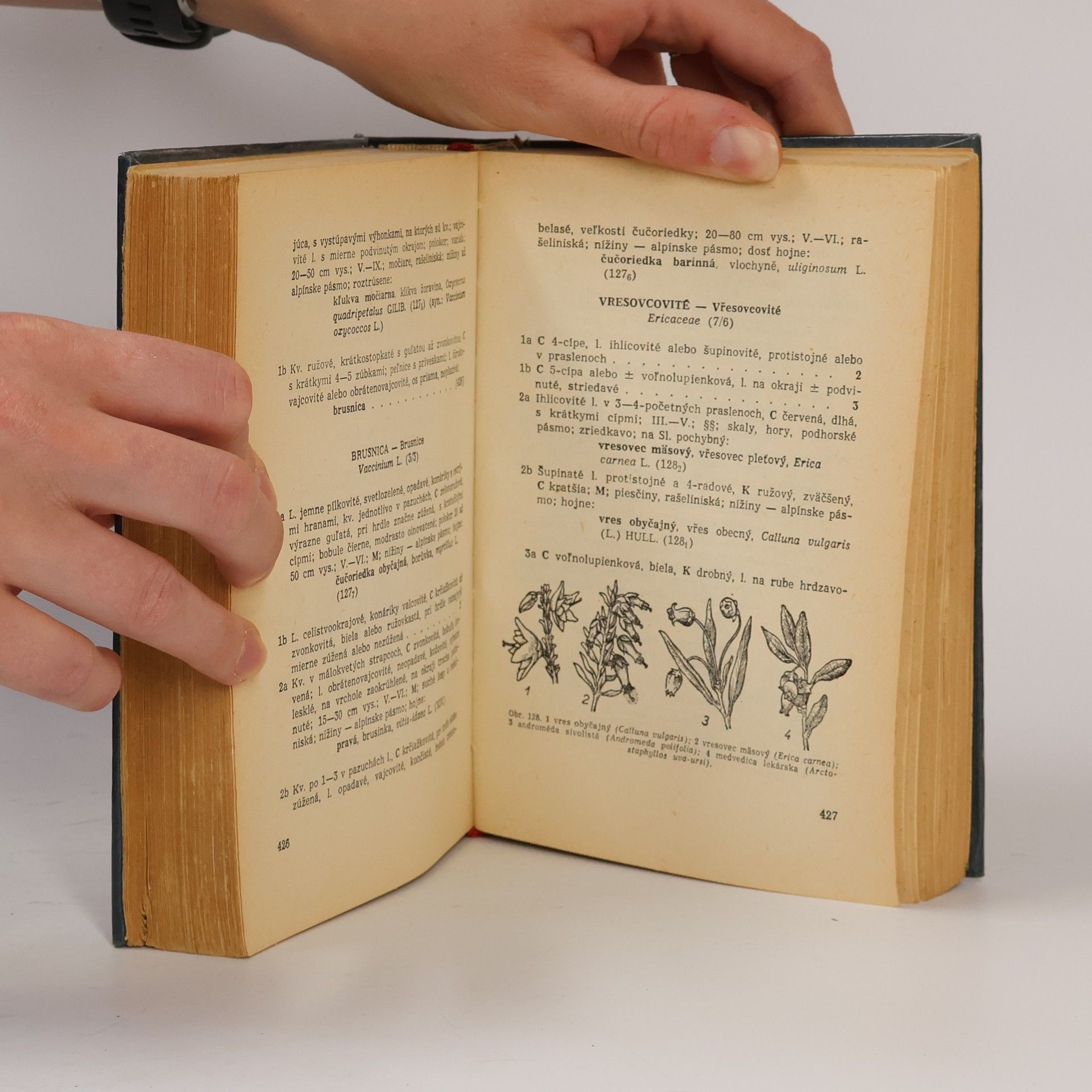 Autores varios Kľúč na určovanie rastlín