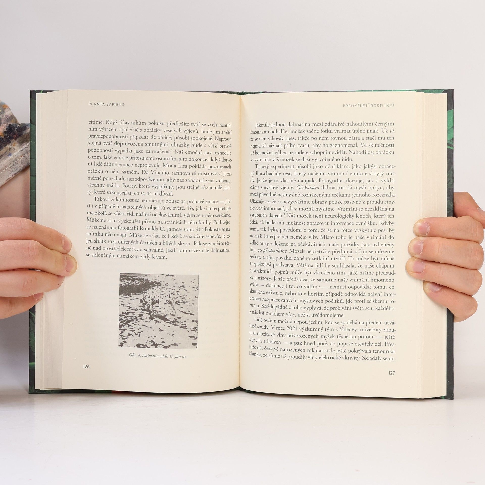Paco Calvo Planta sapiens: o inteligenci rostlin