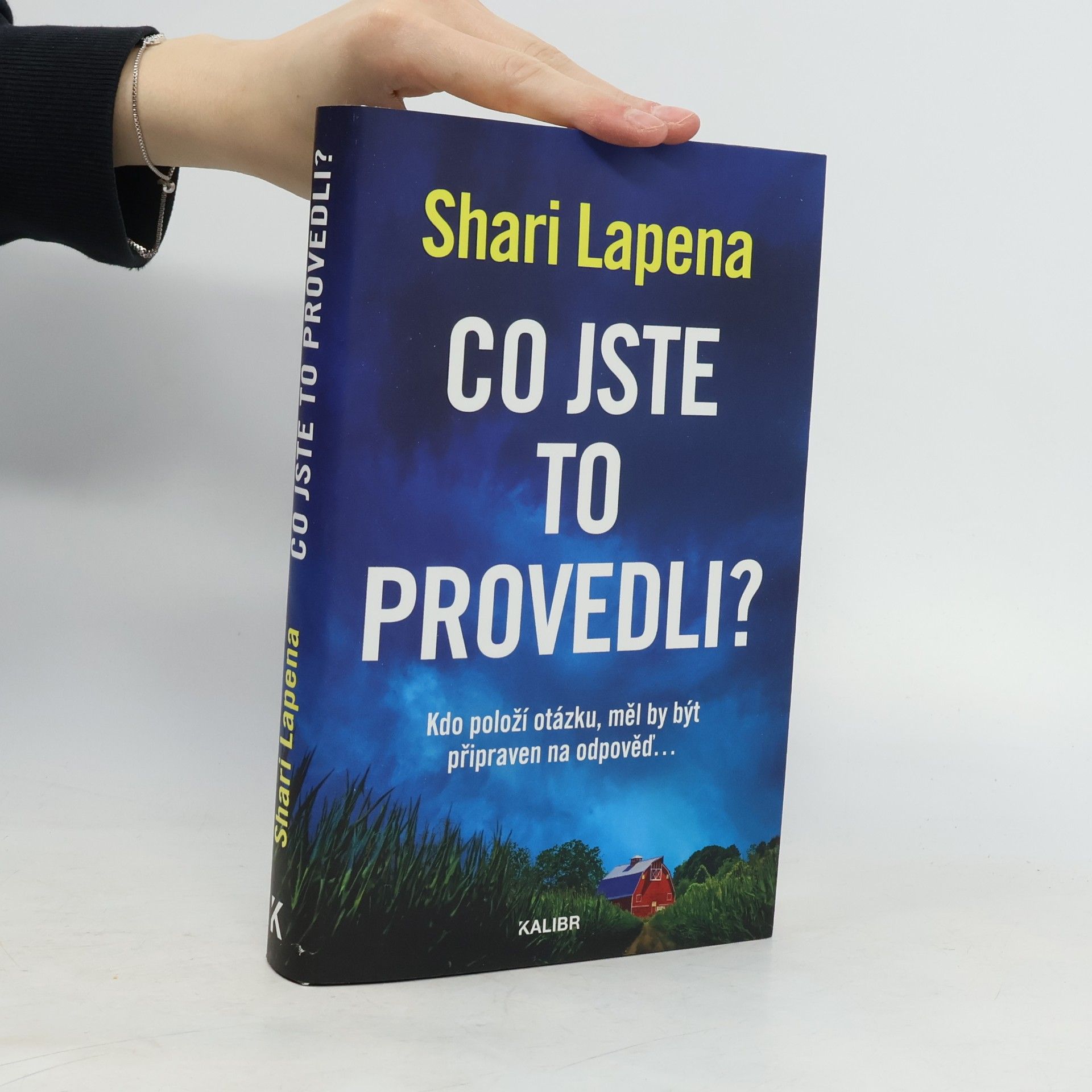 Shari Lapena Co jste to provedli?