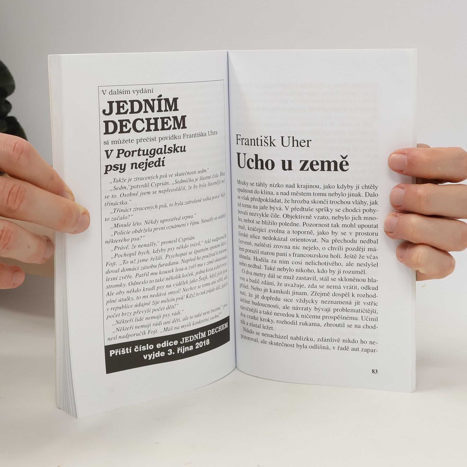 Ladislav Beran Lovec paměti
