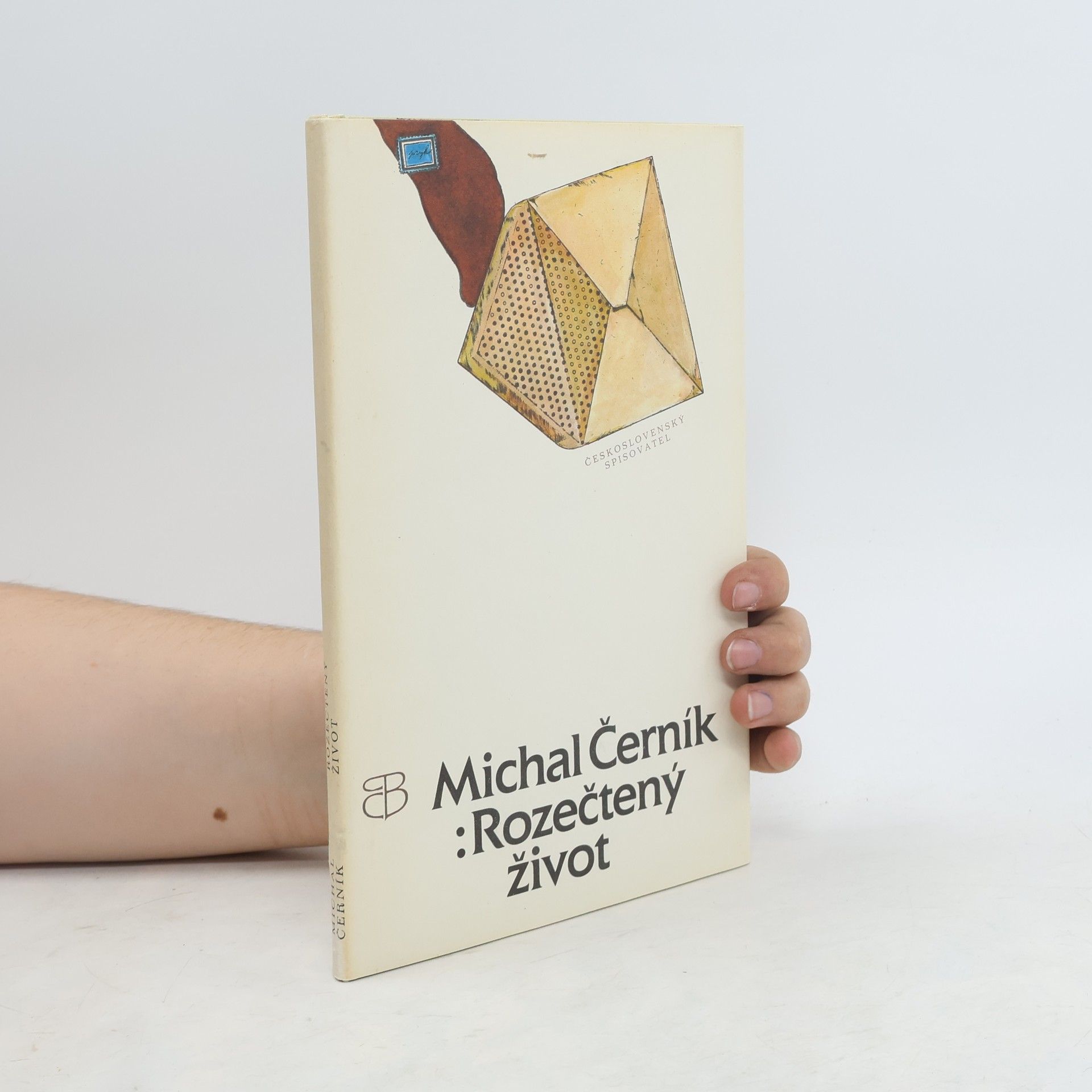 Michal Černík Rozečtený život