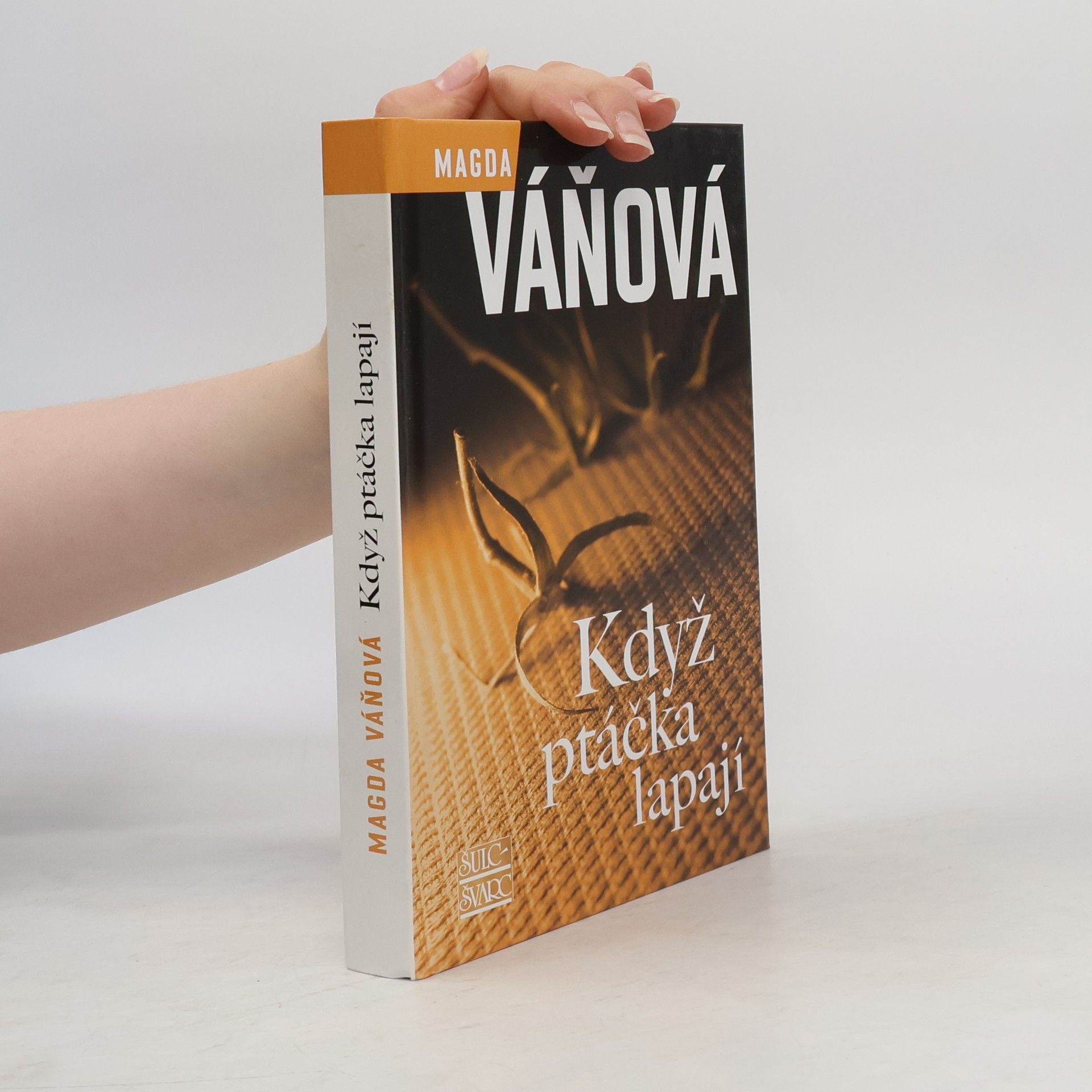 Magda Váňová Když ptáčka lapají