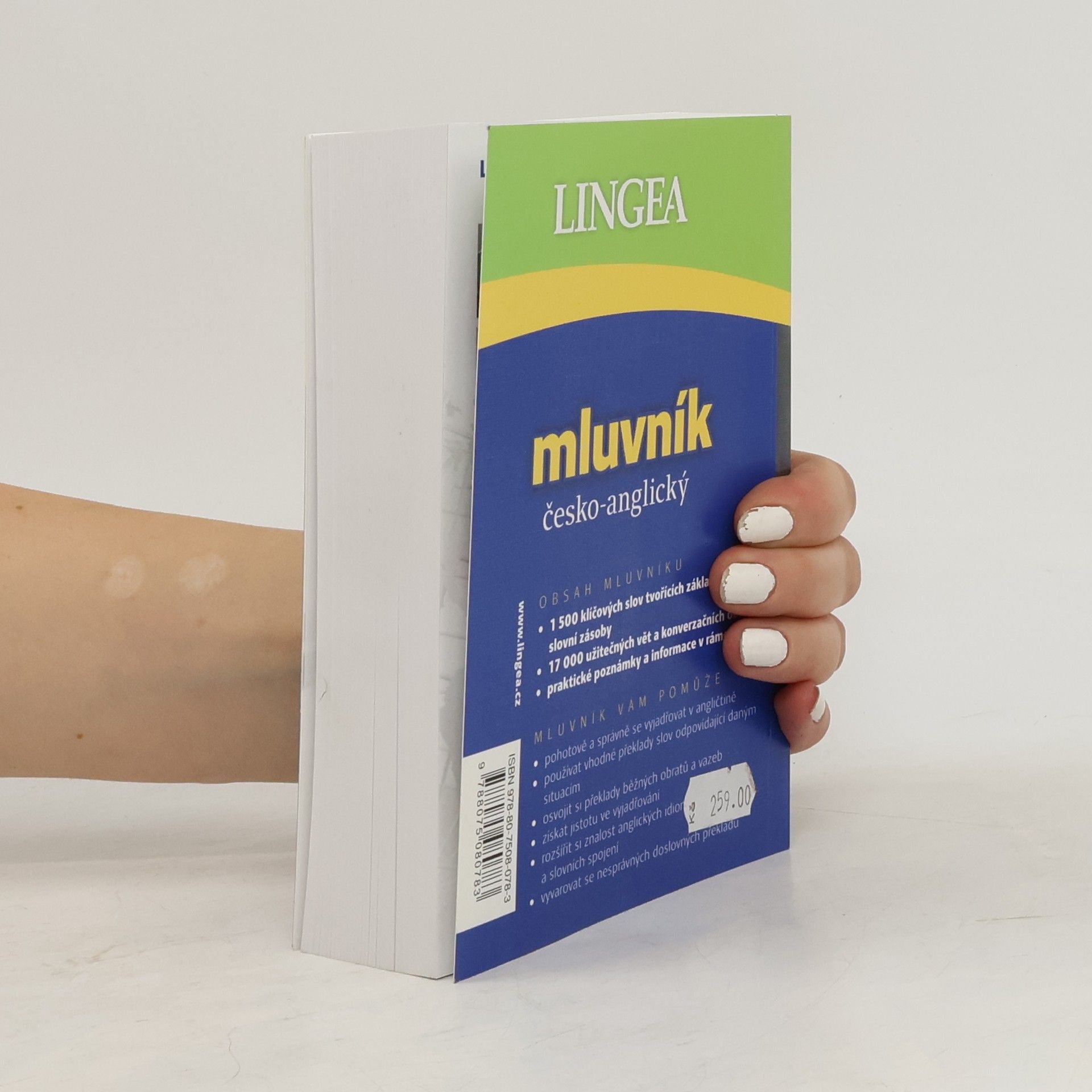 Autorenkollektiv Mluvník česko-anglický