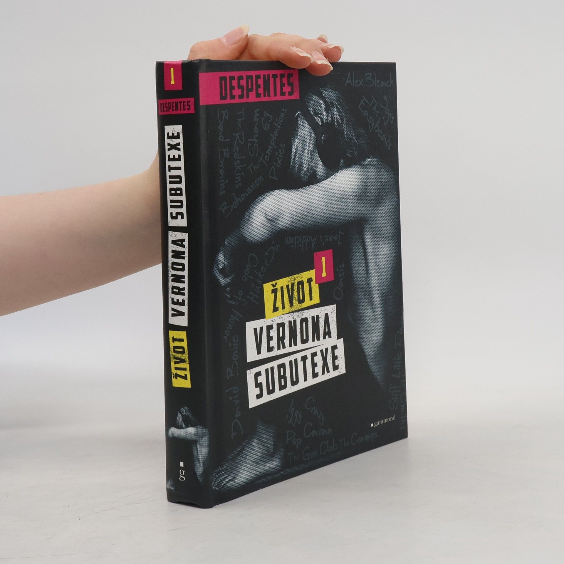 Virginie Despentes Život Vernona Subutexe. Díl 1.