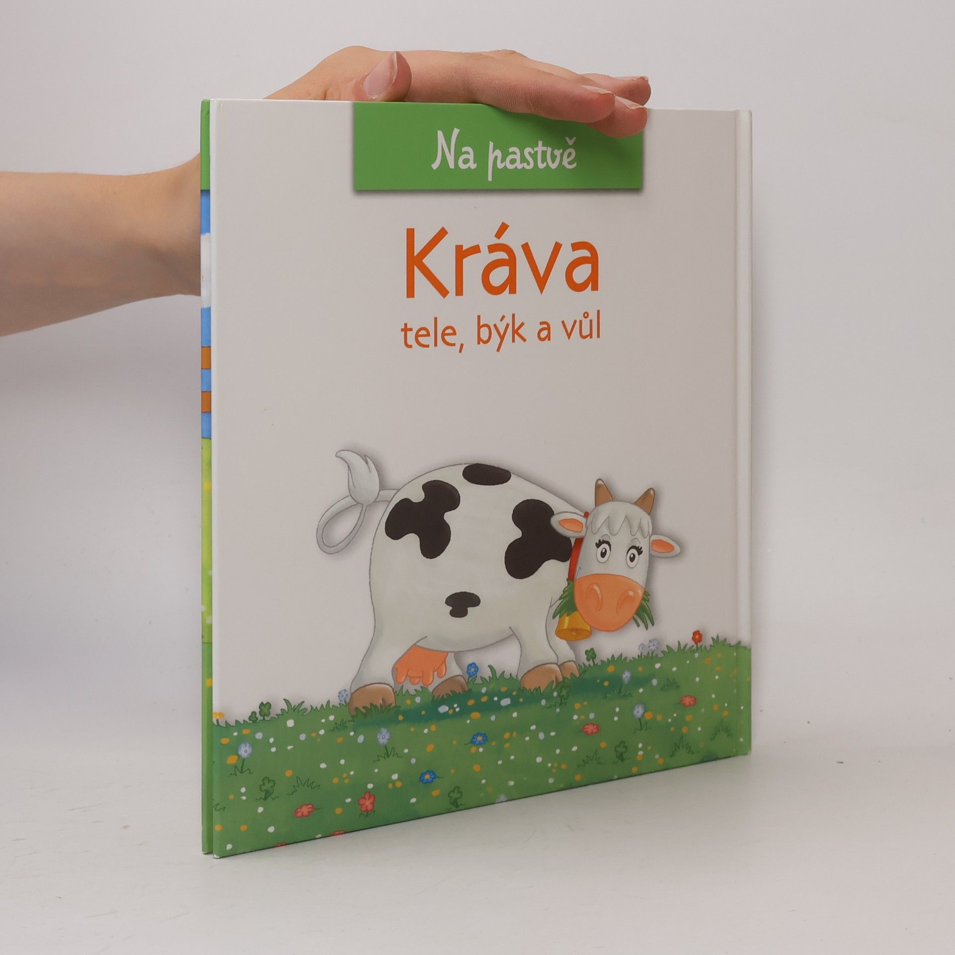 Christine Serbource Kráva, tele, býk a vůl