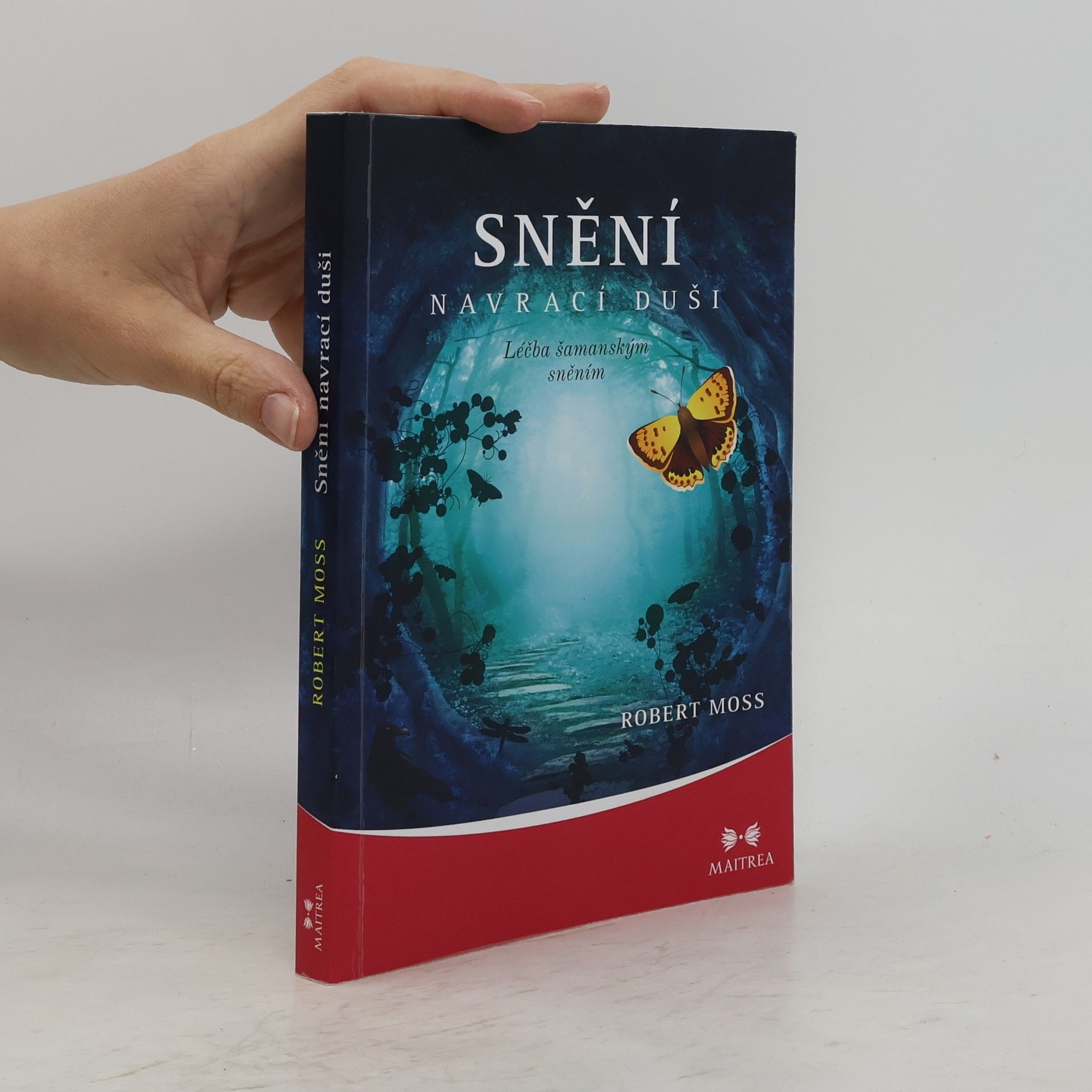Robert Moss Snění navrací duši. Léčba šamanským sněním