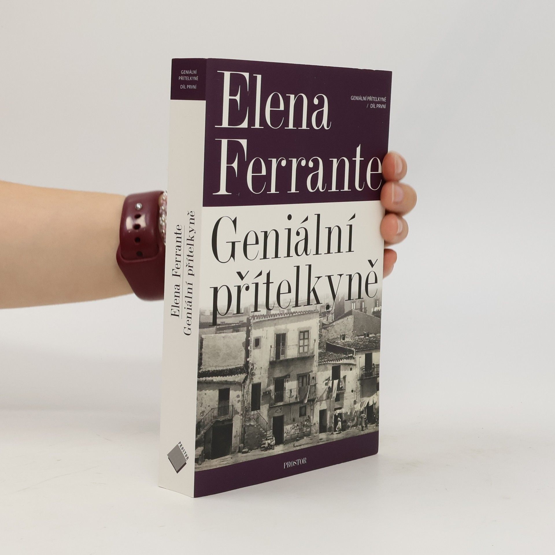 Elena Ferrante Geniální přítelkyně 1. Dětství a dospívání
