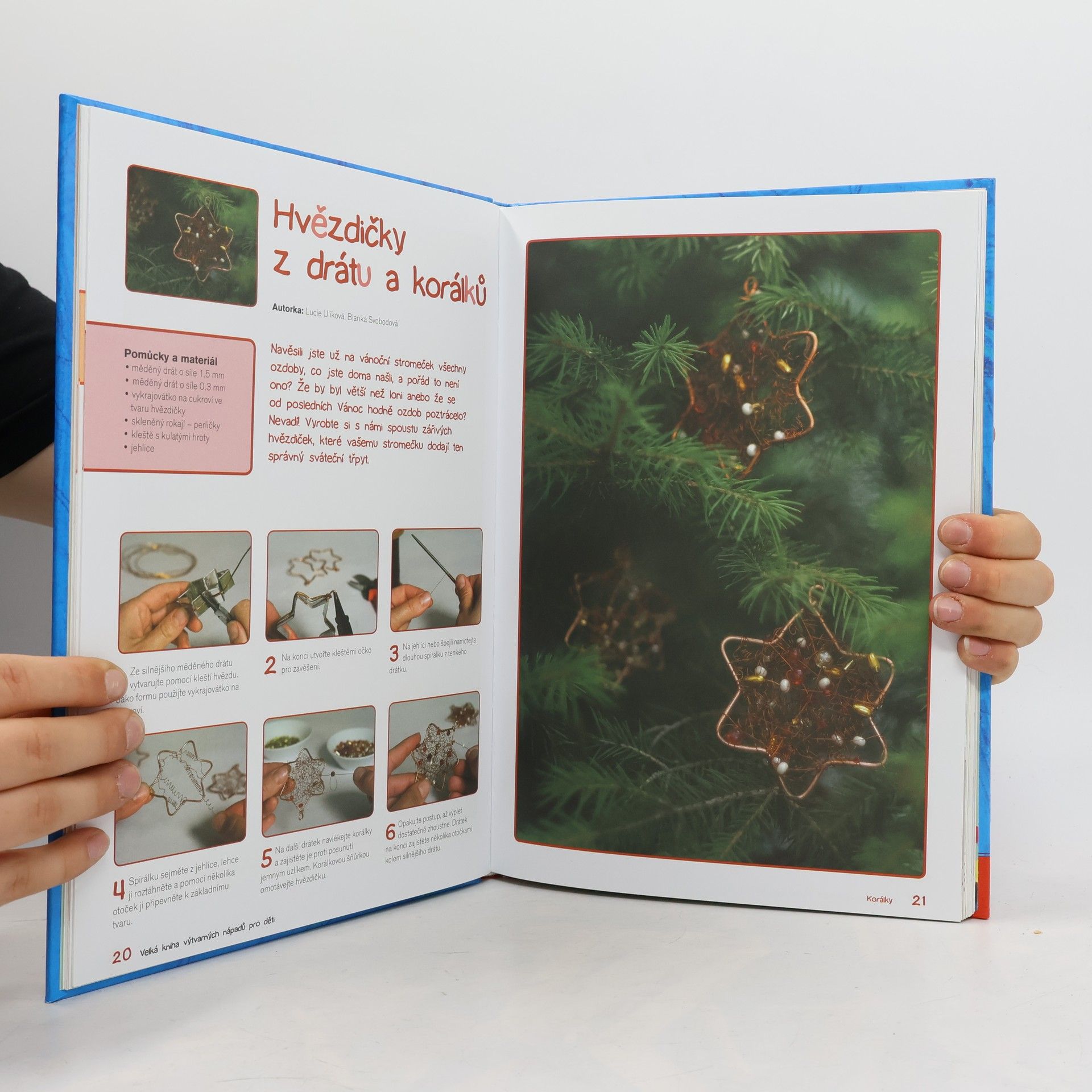 Various authors Velká Kniha výtvarných nápadů pro děti