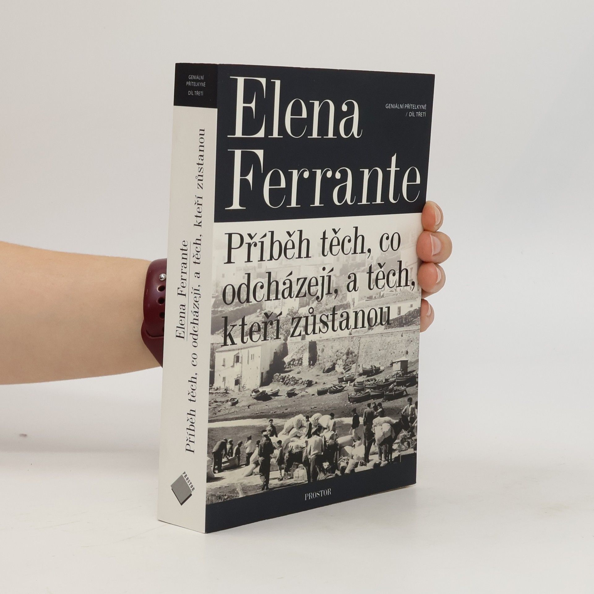 Elena Ferrante Geniální přítelkyně 3. Příběh těch, co odcházejí, a těch, kteří zůstanou