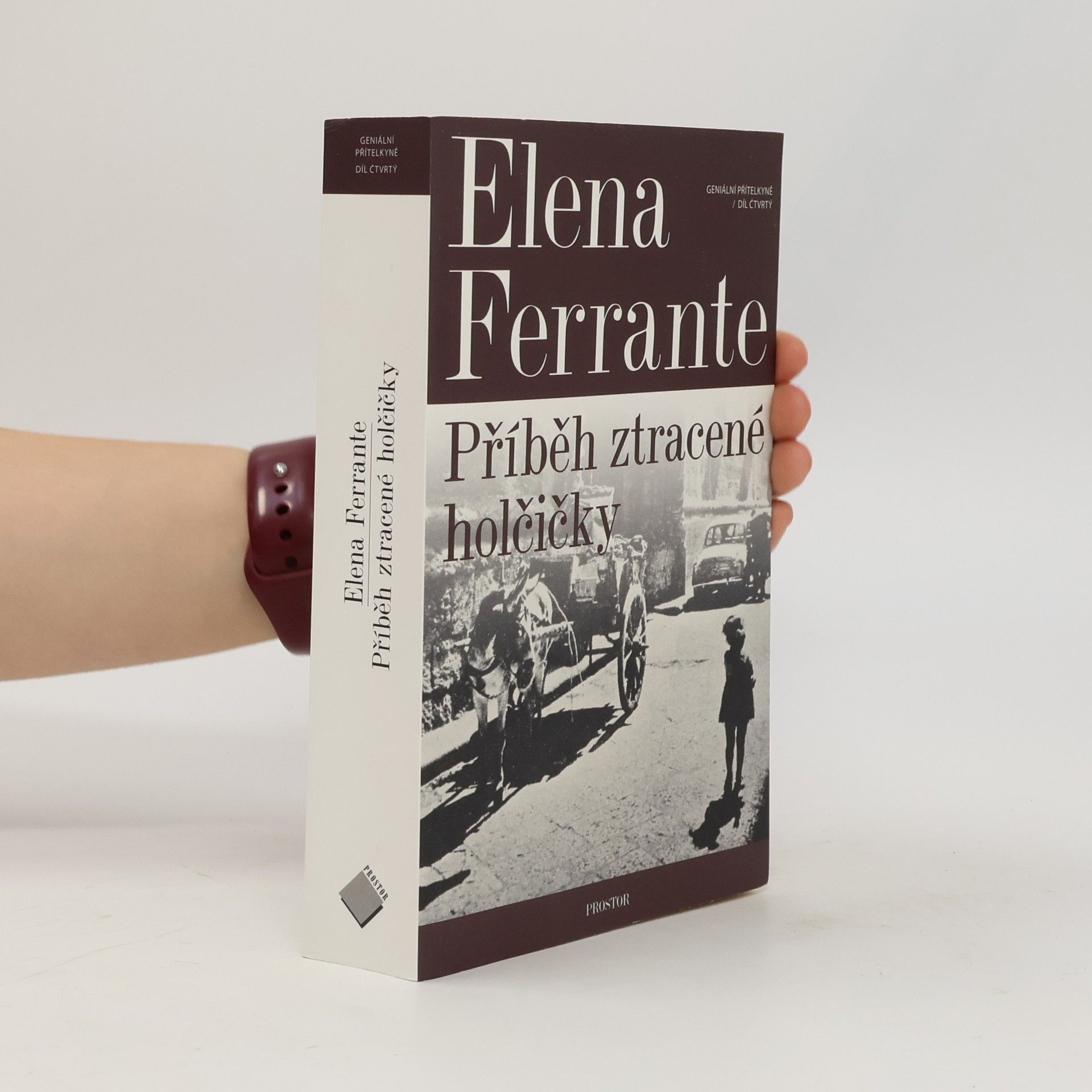 Elena Ferrante Příběh ztracené holčičky. Geniální přítelkyně. 4. díl