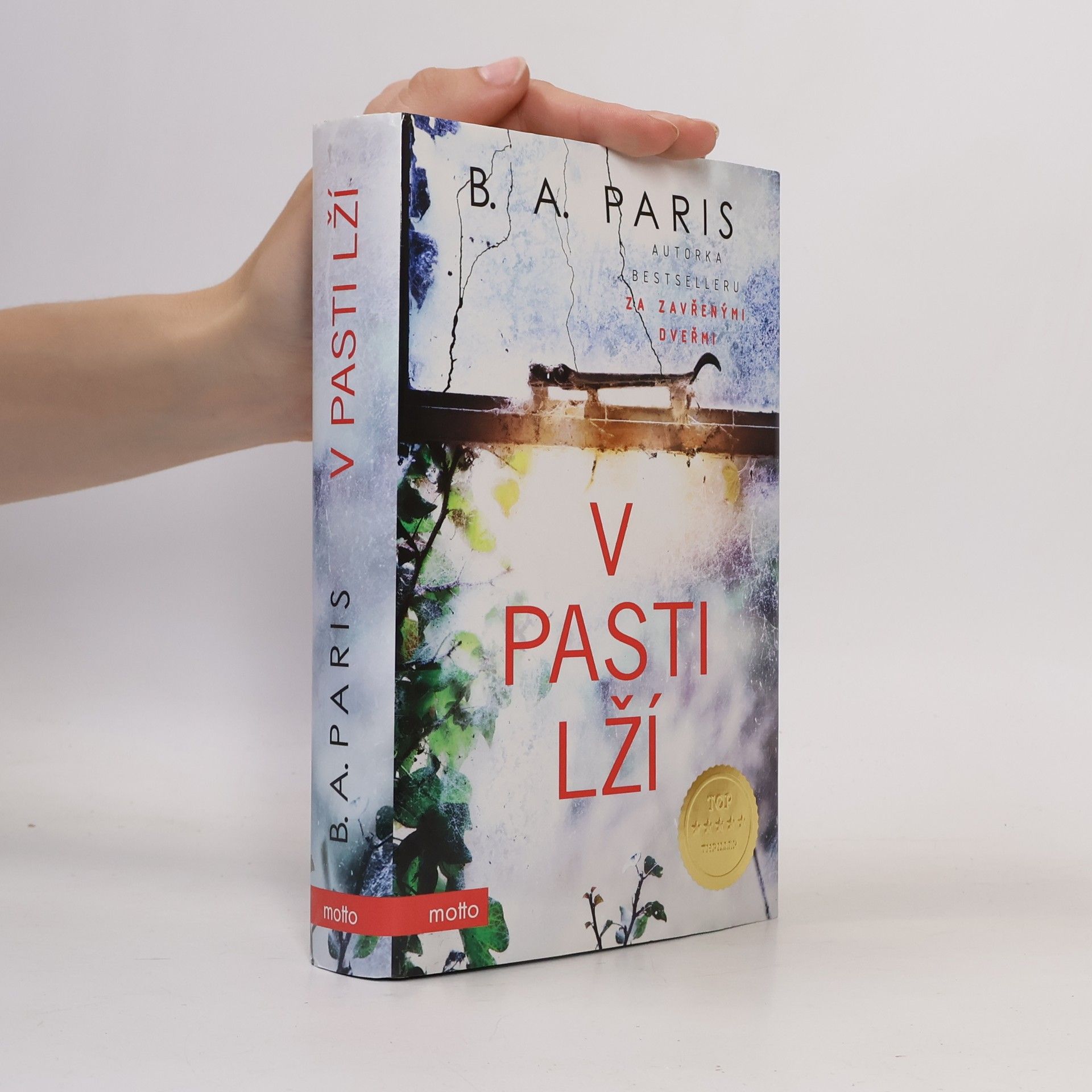 B. A. Paris V pasti lží