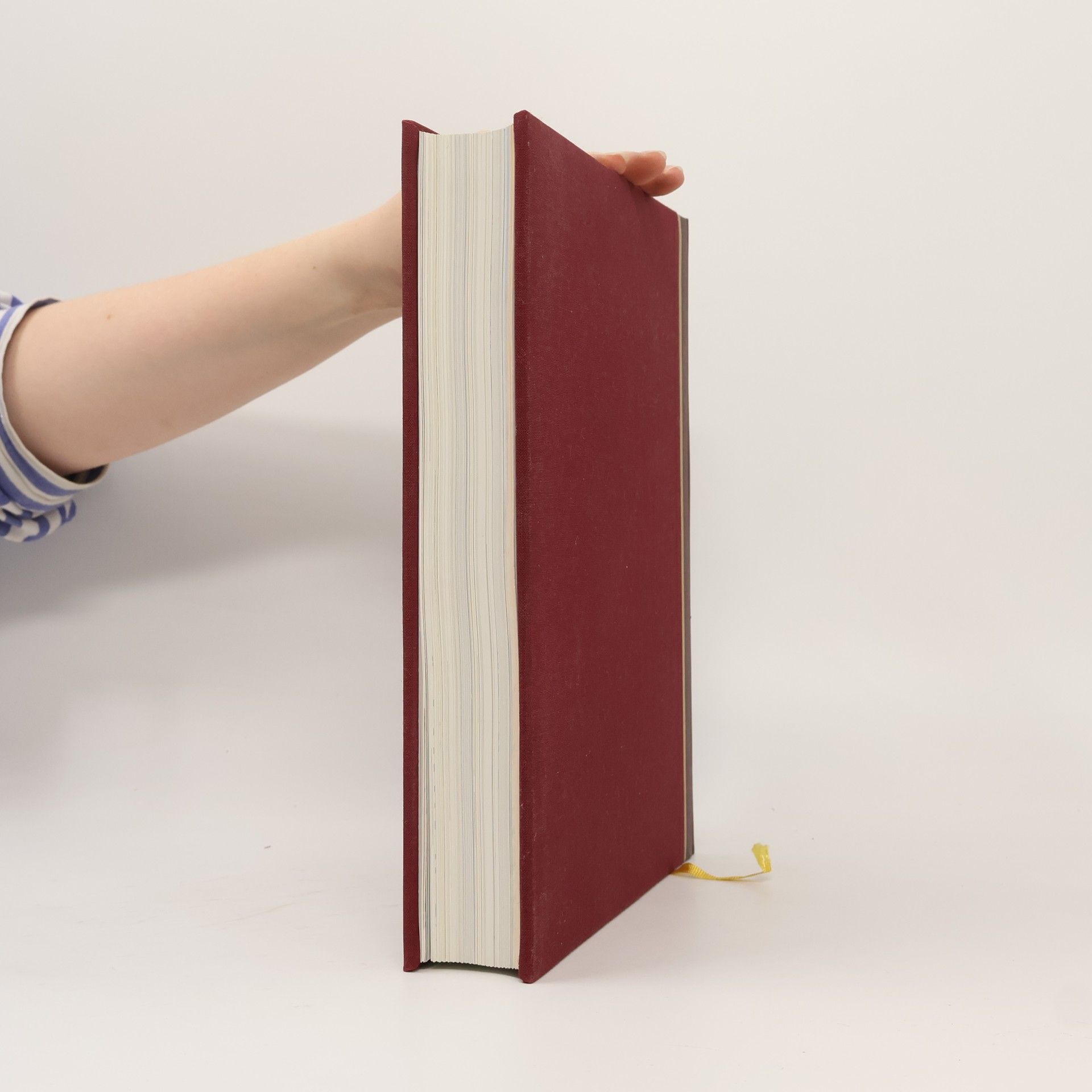John Bowker Die faszinierende Welt der Bibel