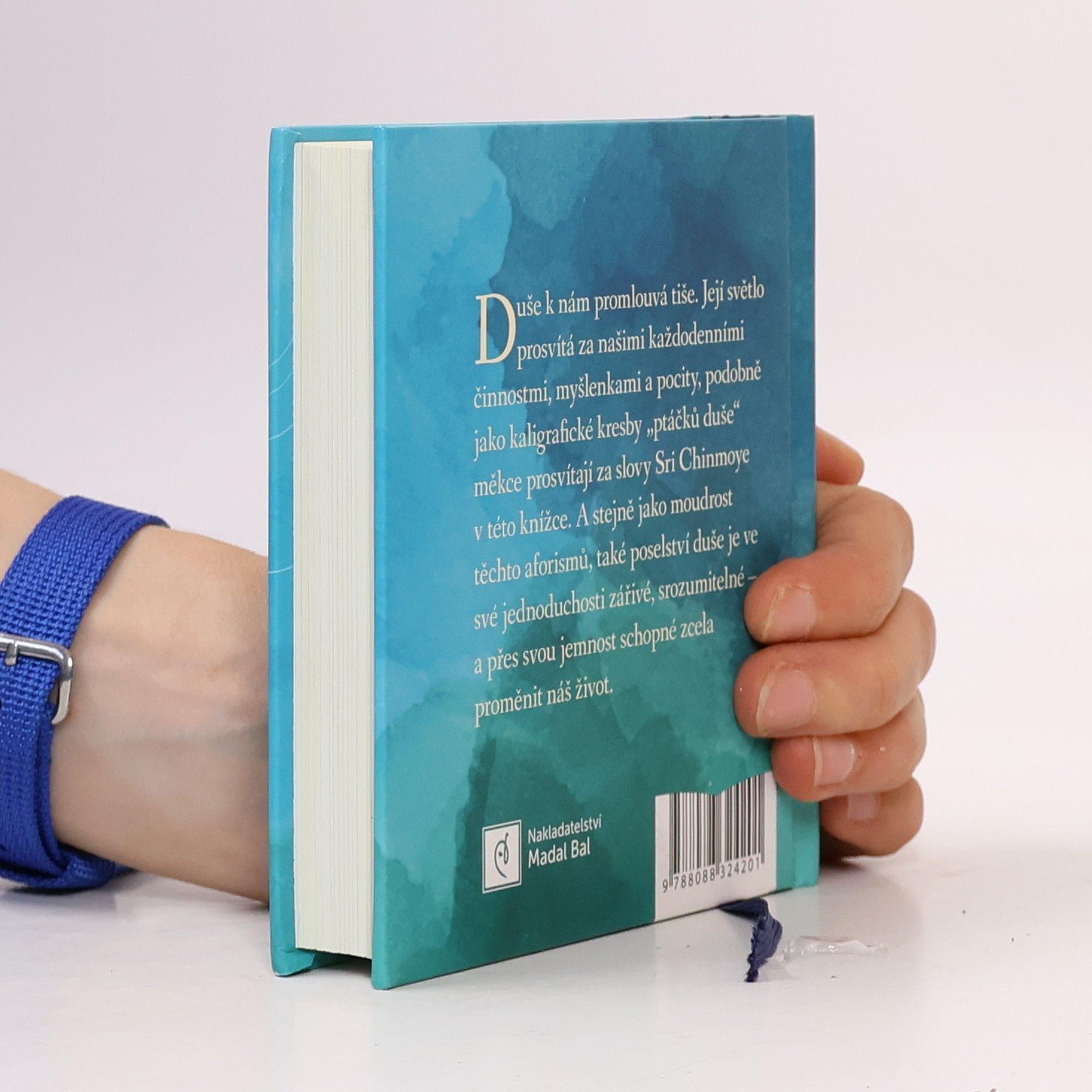 Sri Chinmoy Kapesní moudrost duše