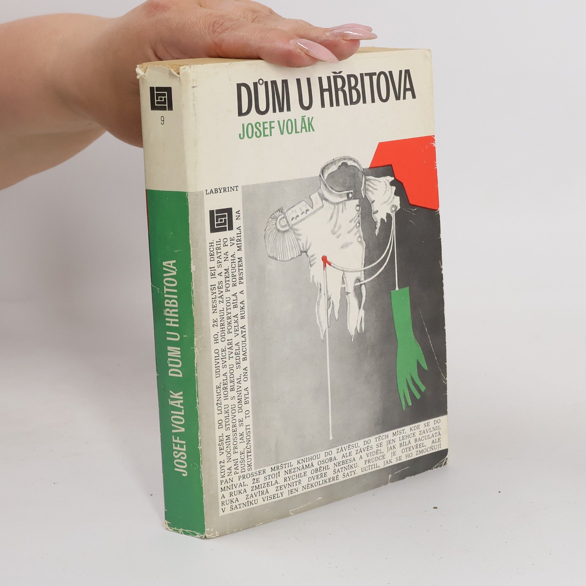 Sheridan Le Fanu Dům u hřbitova