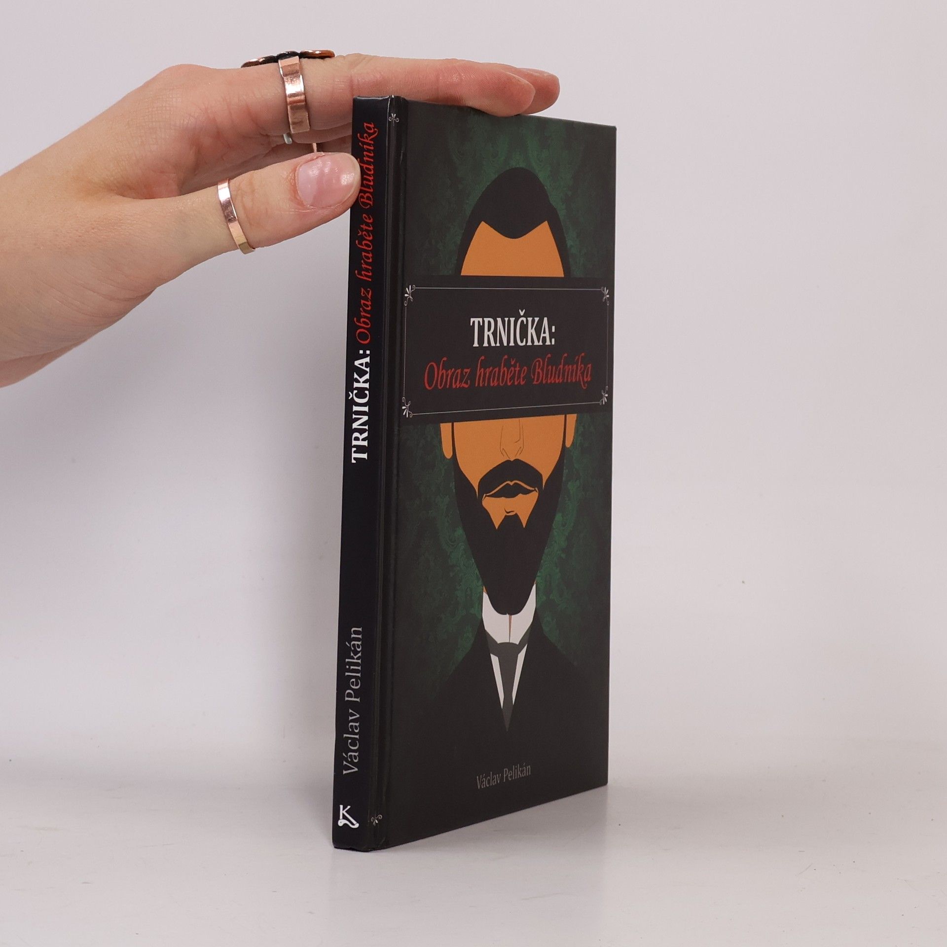 Václav Pelikán Trnička: Obraz hraběte Bludníka