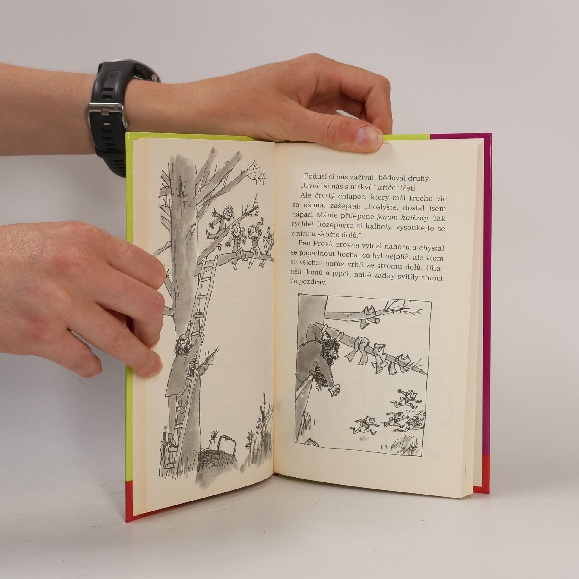 Roald Dahl Prevítovi