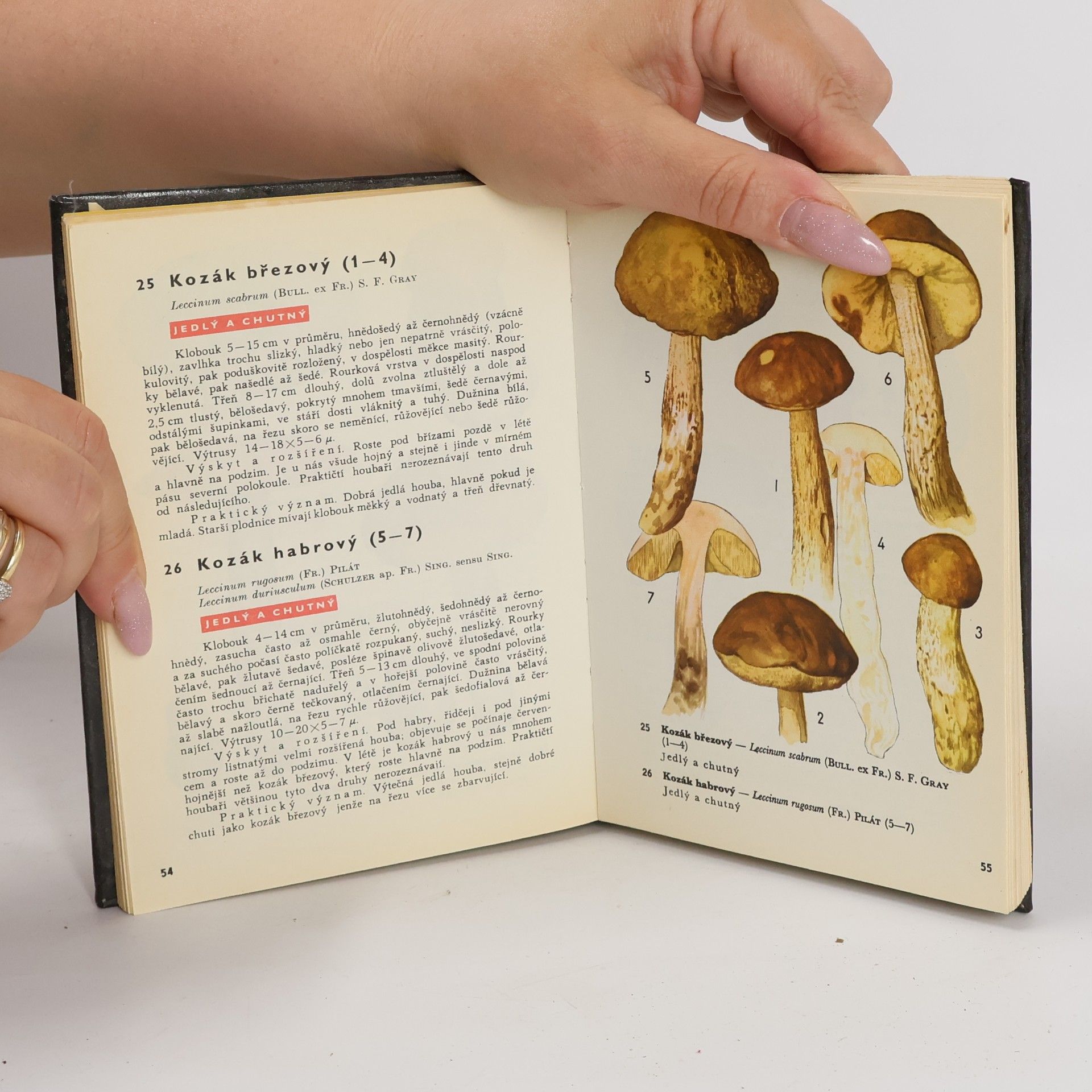 Otto Ušák Kapesní atlas hub