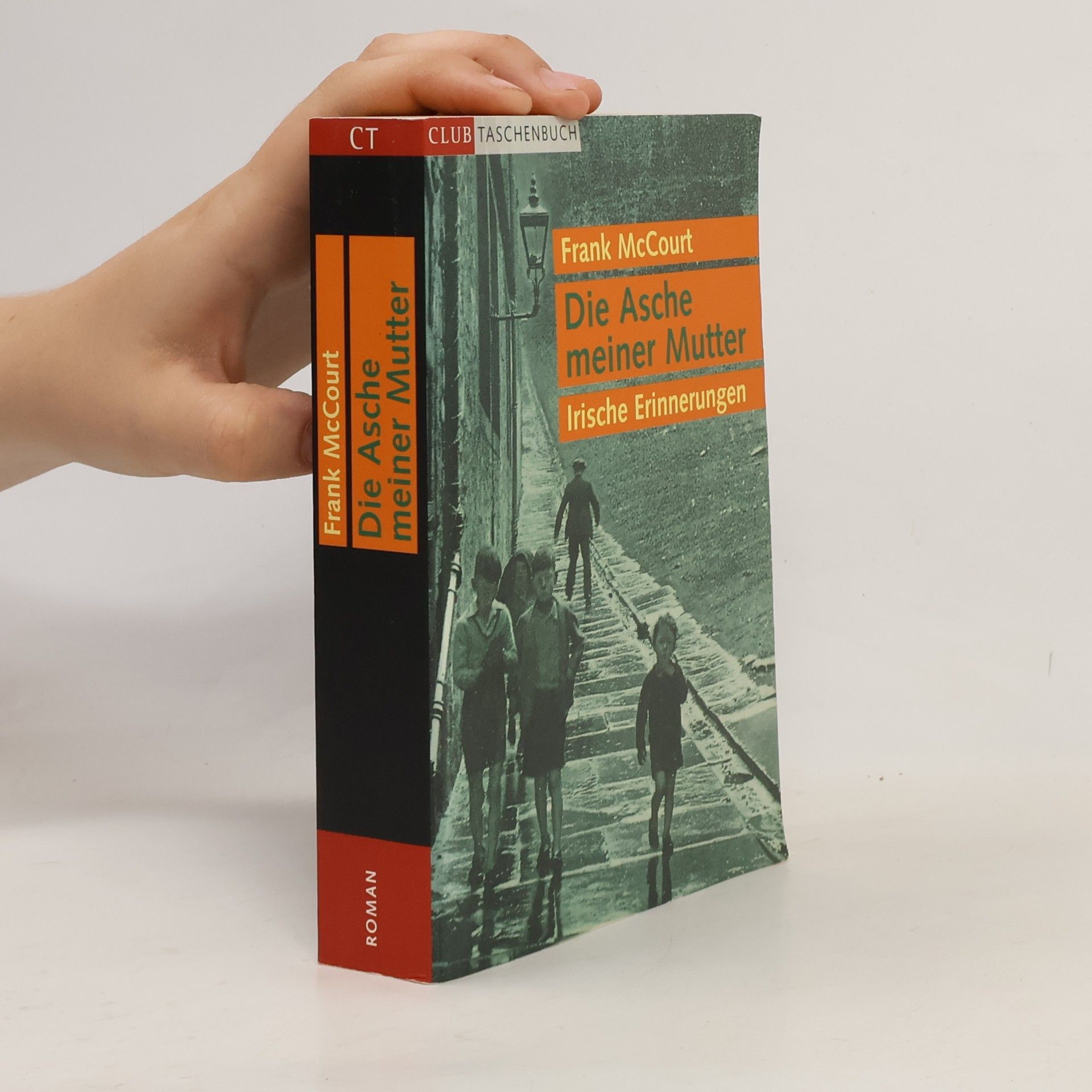 Frank McCourt Die Asche meiner Mutter