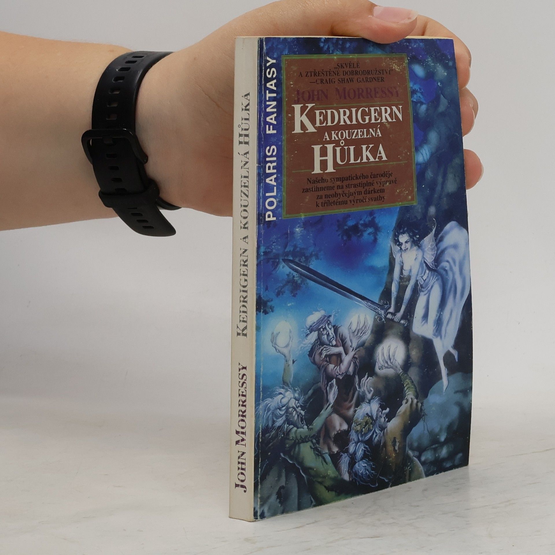 John Morressy Kedrigern a kouzelná hůlka