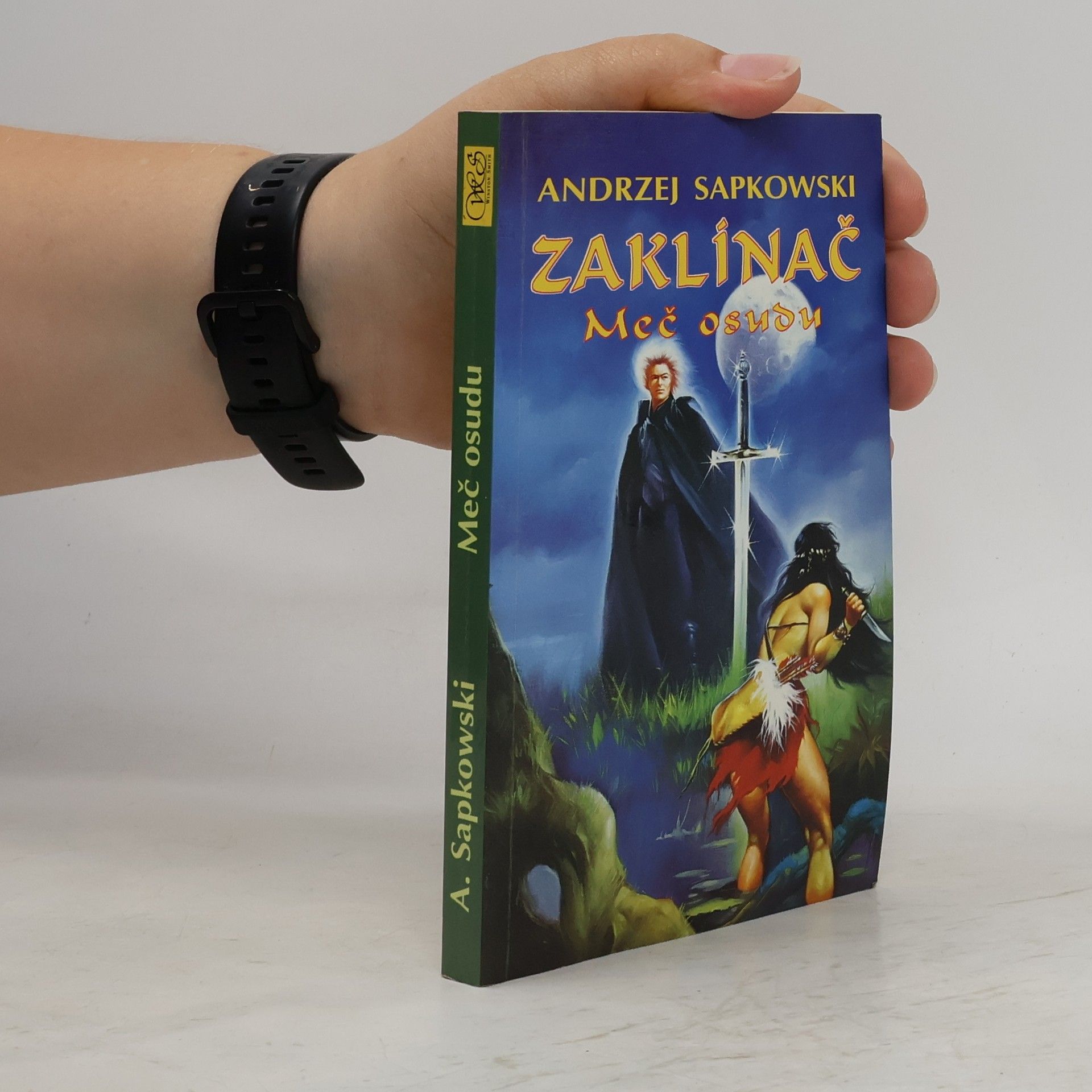 Zaklínač. Meč osudu