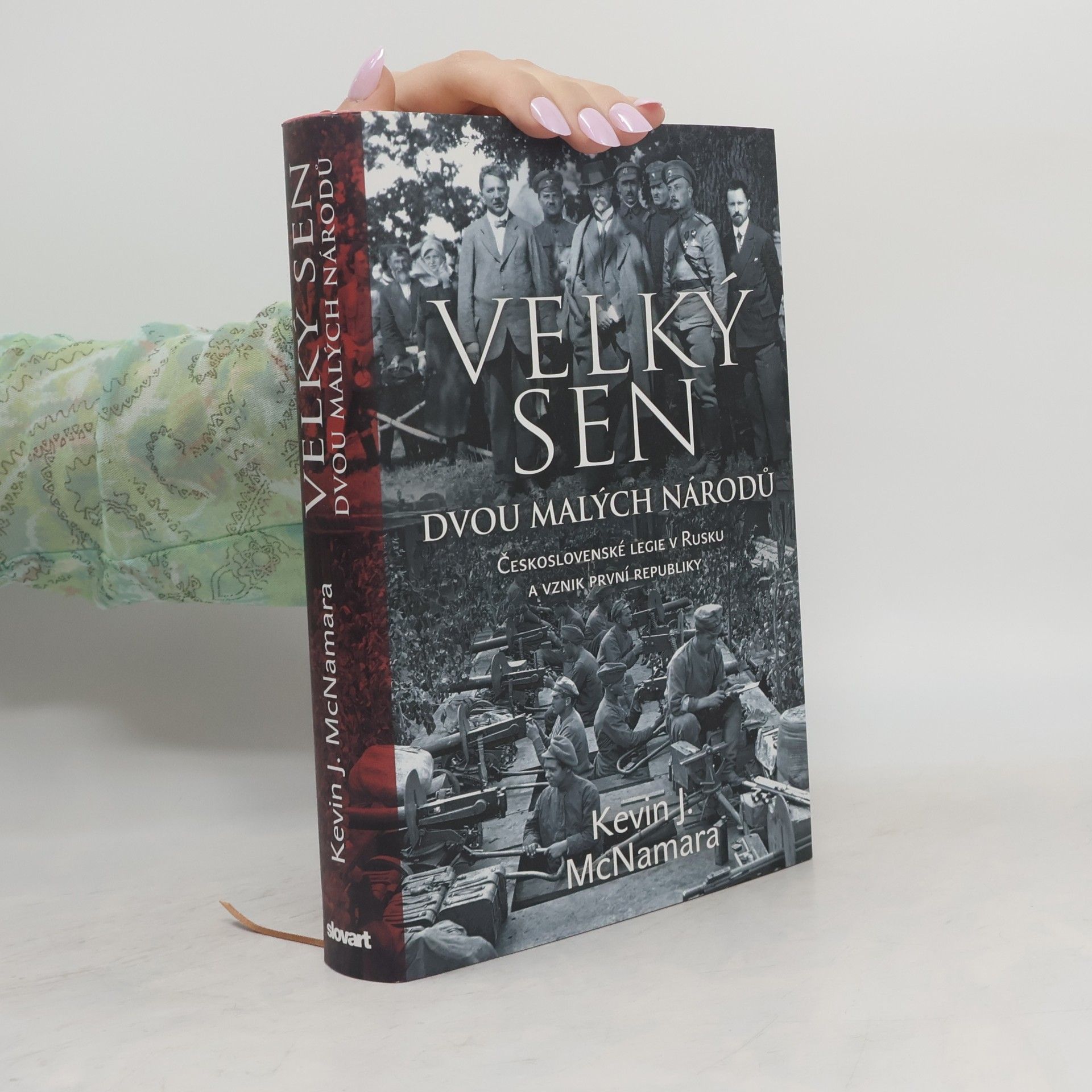 Kevin J. McNamara Velký sen dvou malých národů