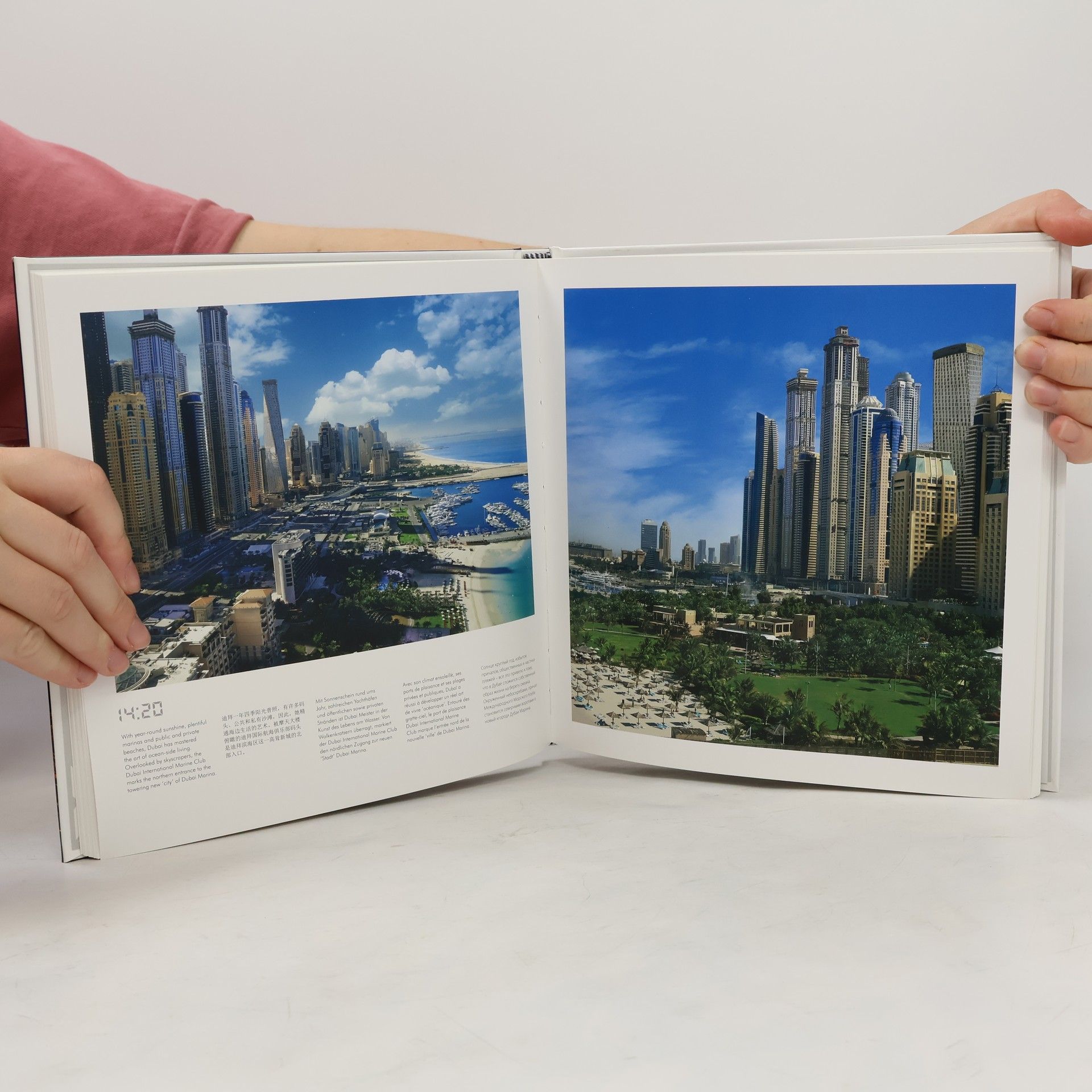 Various authors Dubai: a day above the city