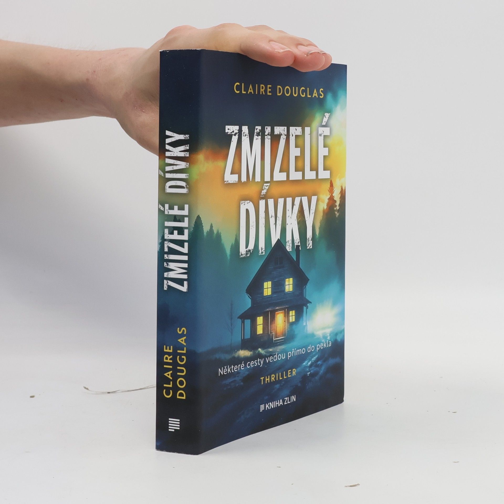 Zmizelé dívky