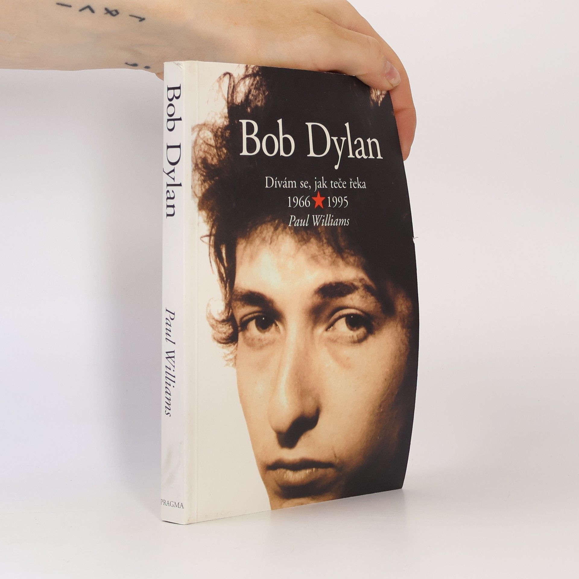 Paul Williams Bob Dylan - Dívám se, jak teče řeka 1966 - 1995