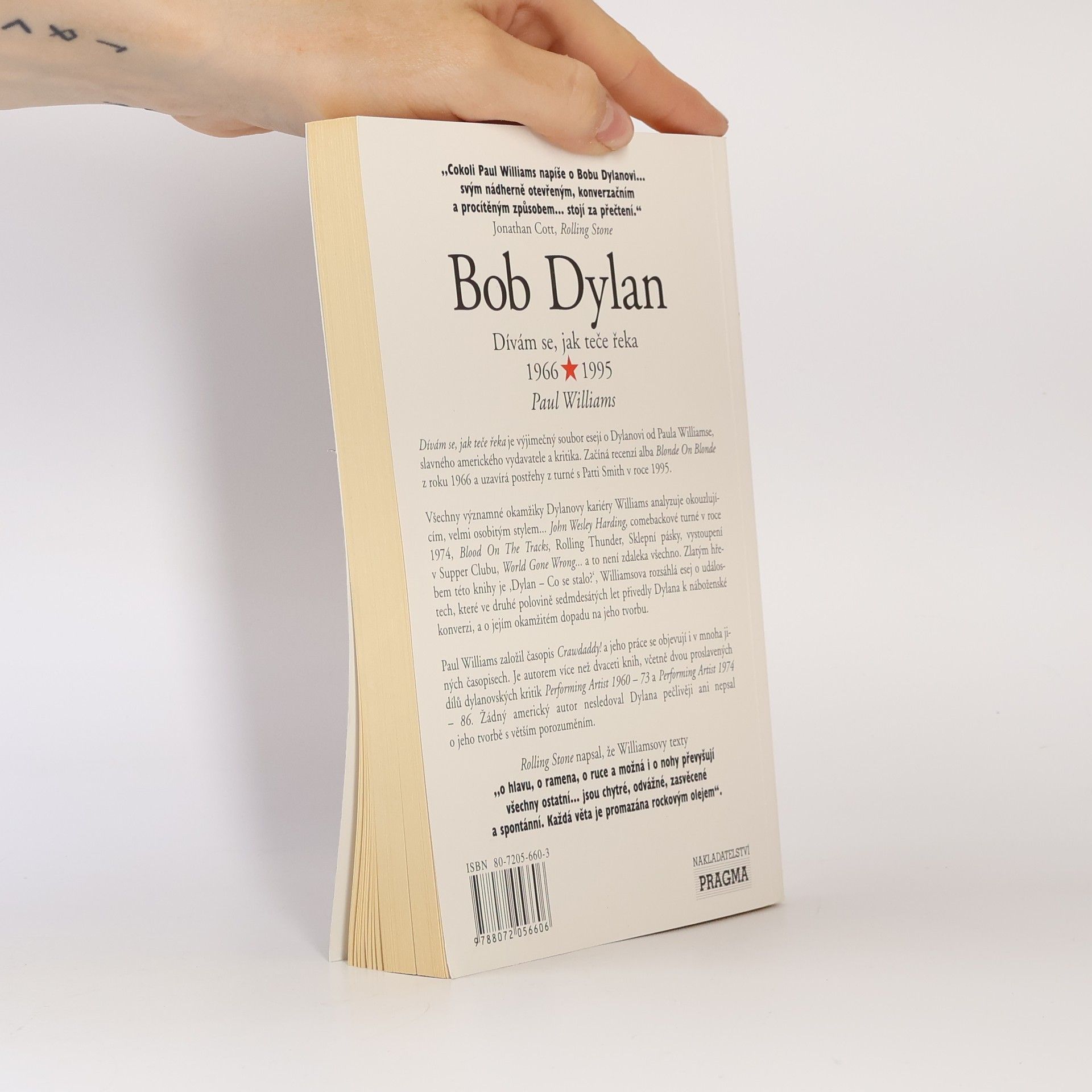 Paul Williams Bob Dylan - Dívám se, jak teče řeka 1966 - 1995