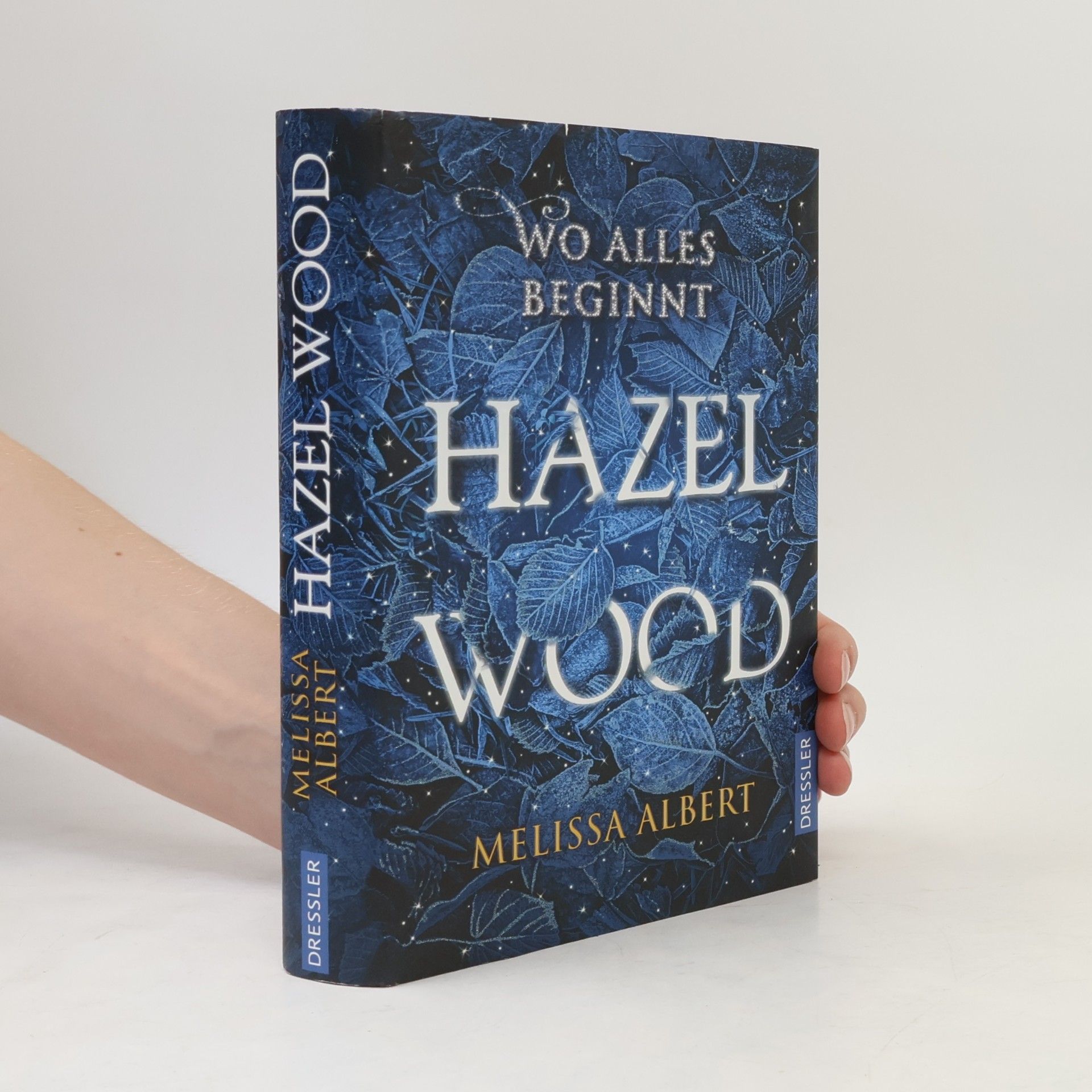 Melissa Albert Hazel Wood: Wo alles beginnt