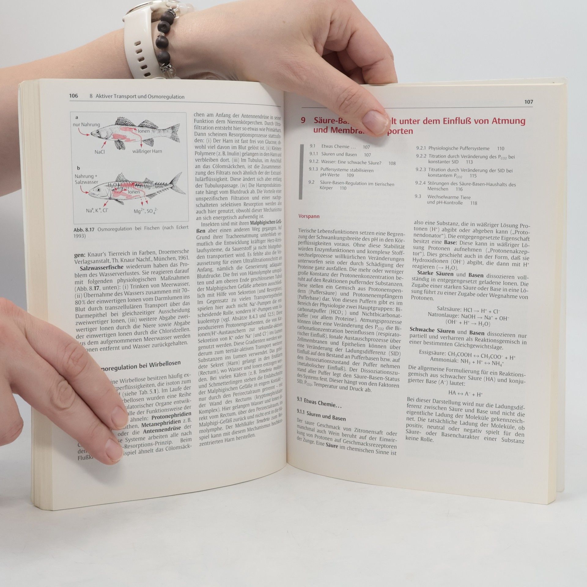 Rüdiger J. Paul Physiologie der Tiere