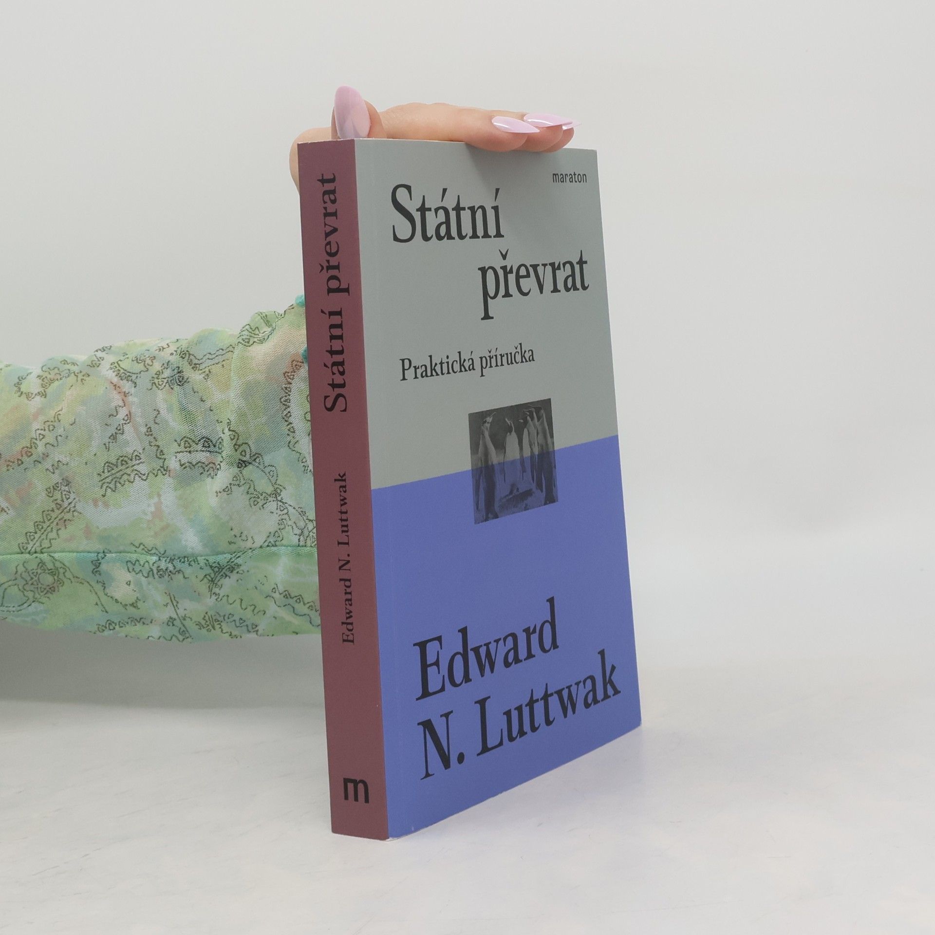 Edward Luttwak Státní převrat : praktická příručka