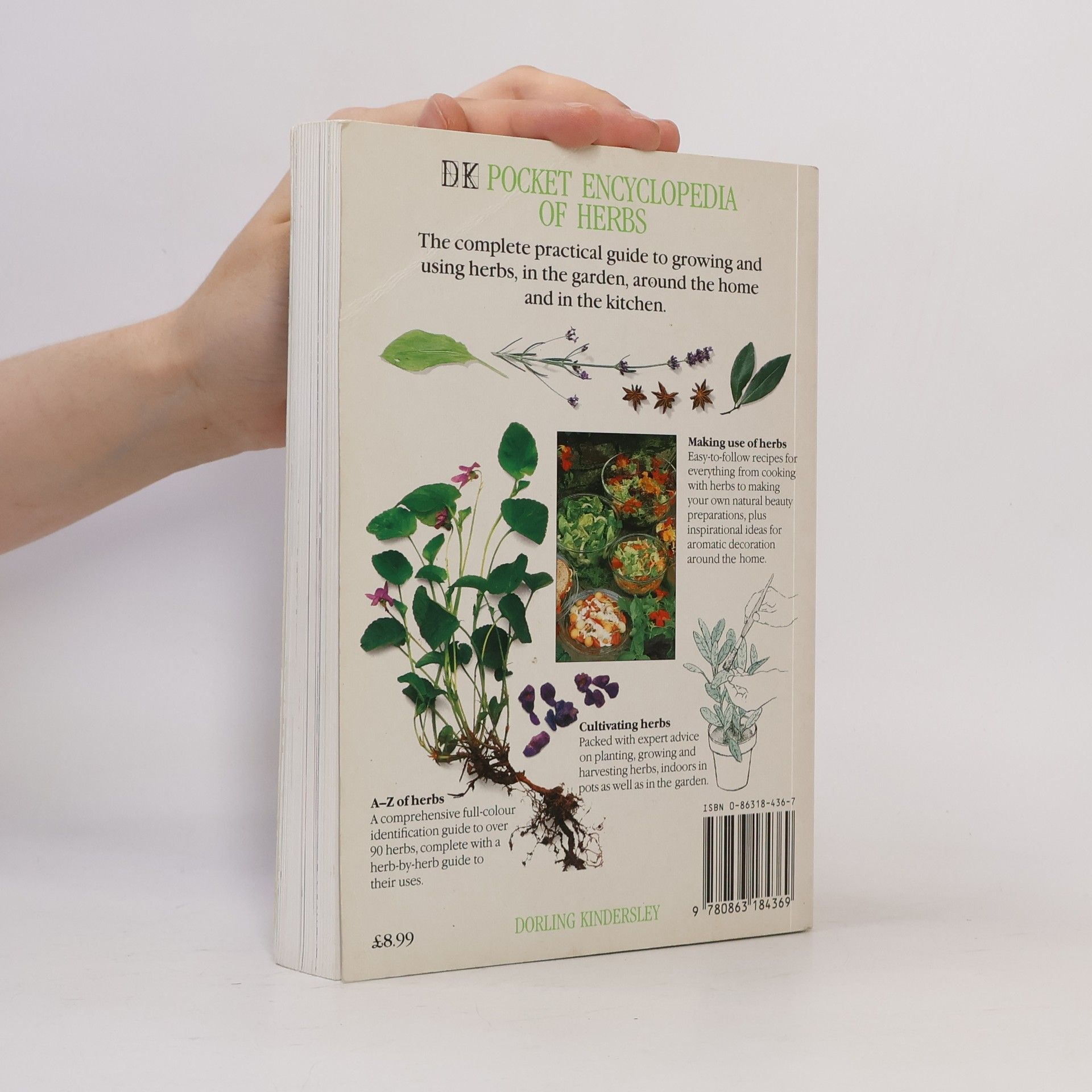Lesley Bremness DK Pocket Encyclopedia of Herbs