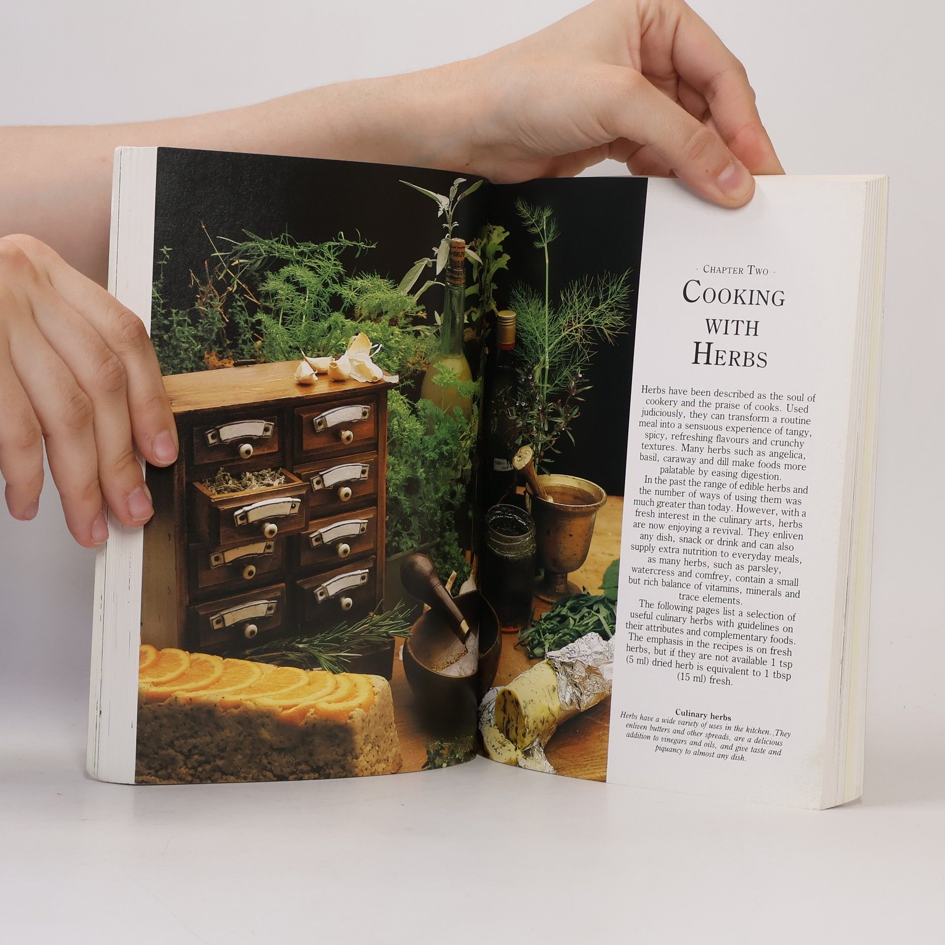 Lesley Bremness DK Pocket Encyclopedia of Herbs
