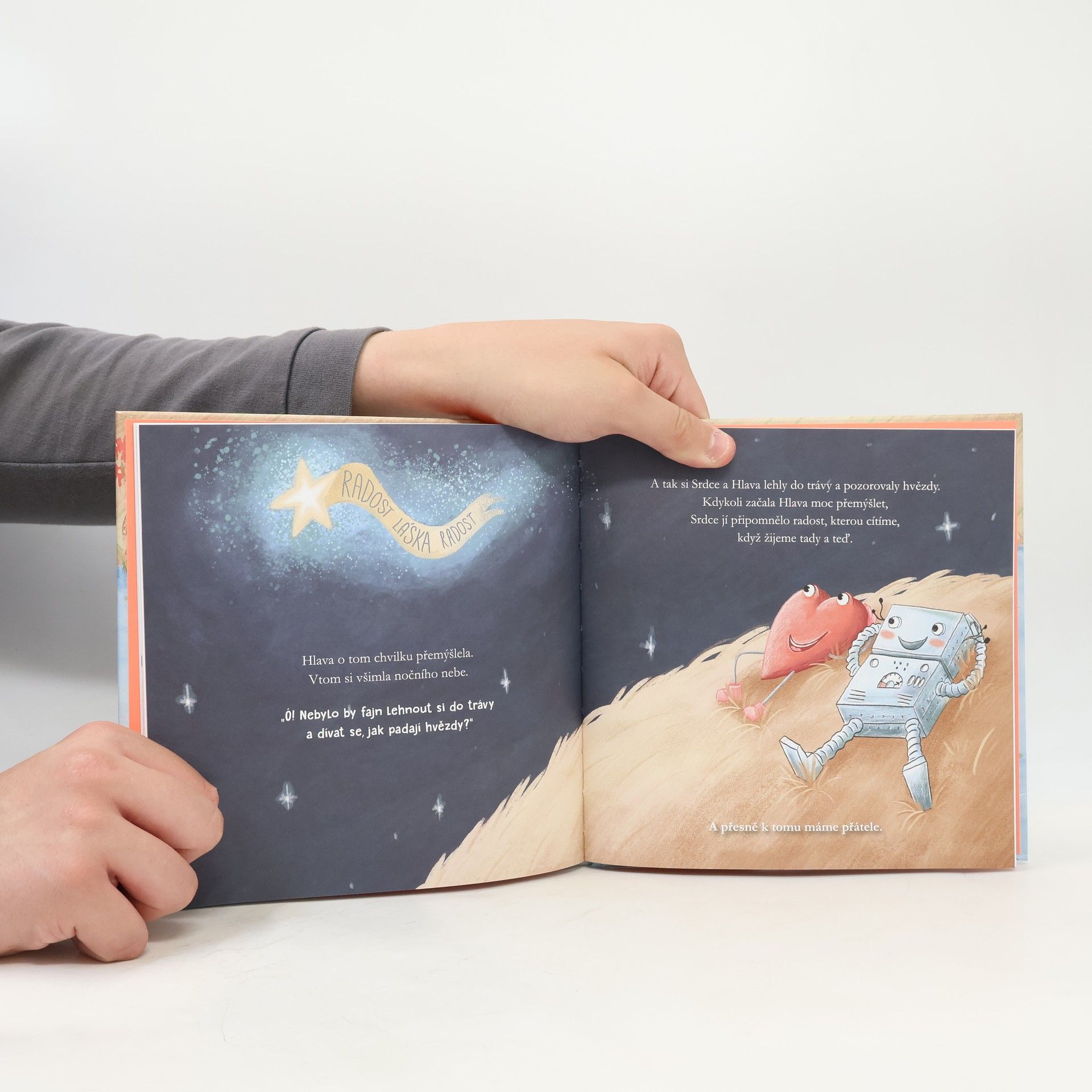 Petra Dombrovská Srdce & hlava. Příběh o přátelství
