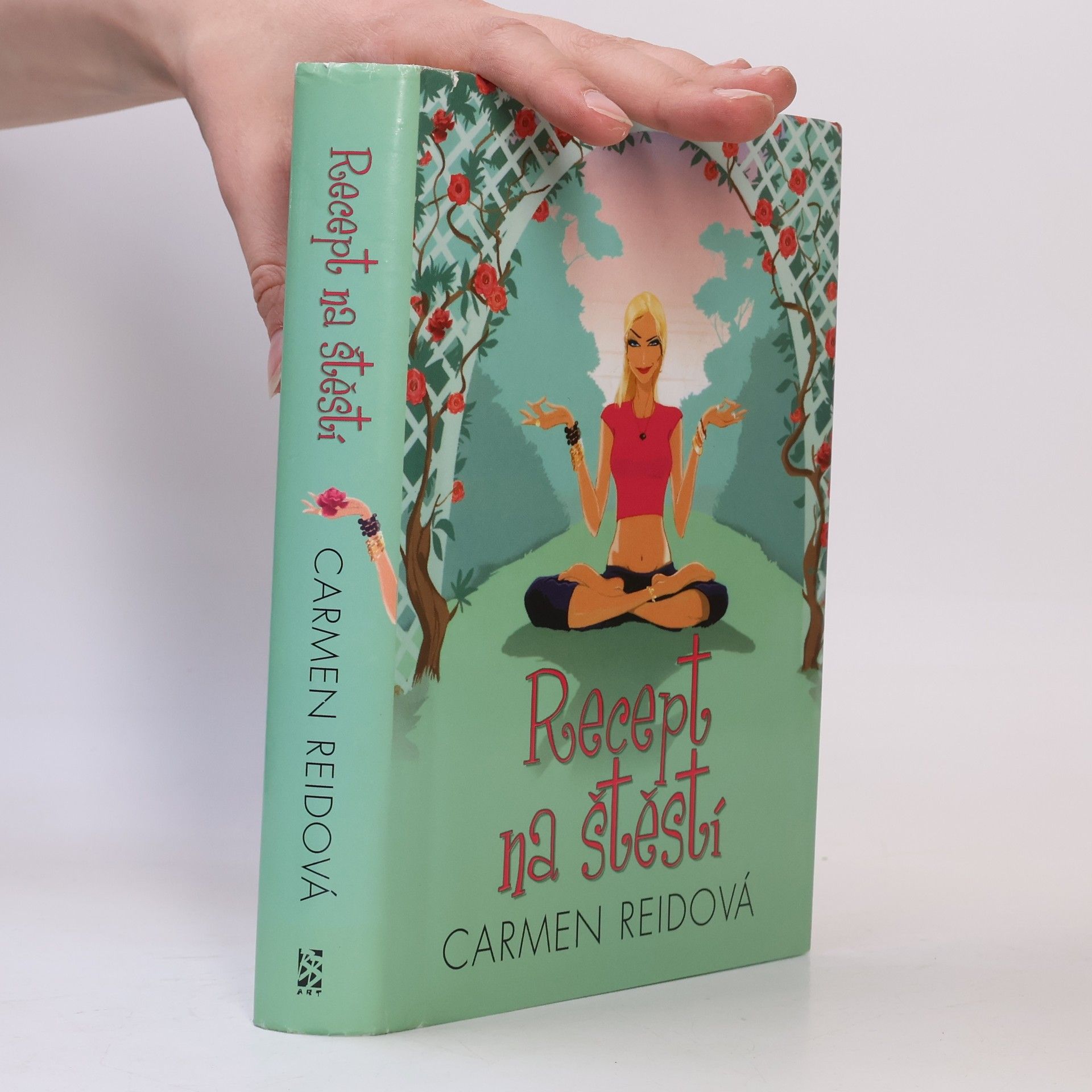 Carmen Reid Recept na štěstí