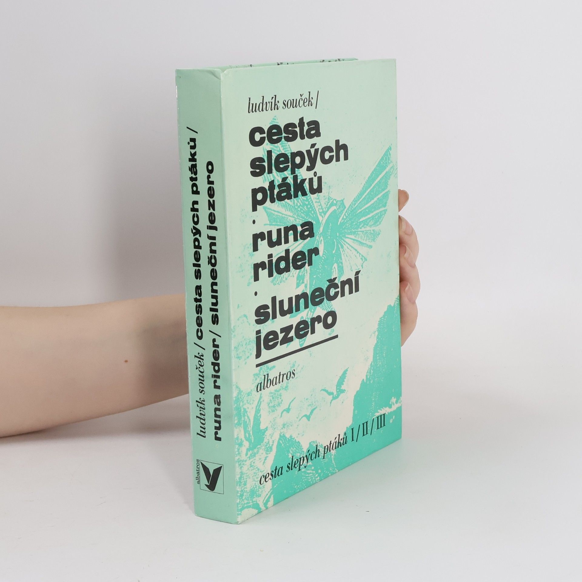 Ludvík Souček Cesta slepých ptáků. Runa rider. Sluneční jezero