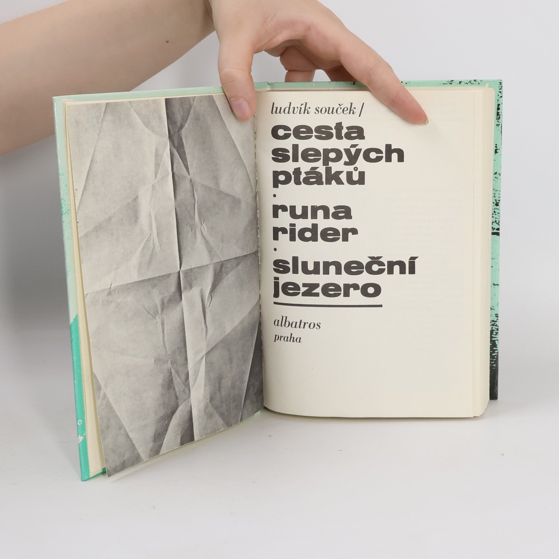 Ludvík Souček Cesta slepých ptáků. Runa rider. Sluneční jezero