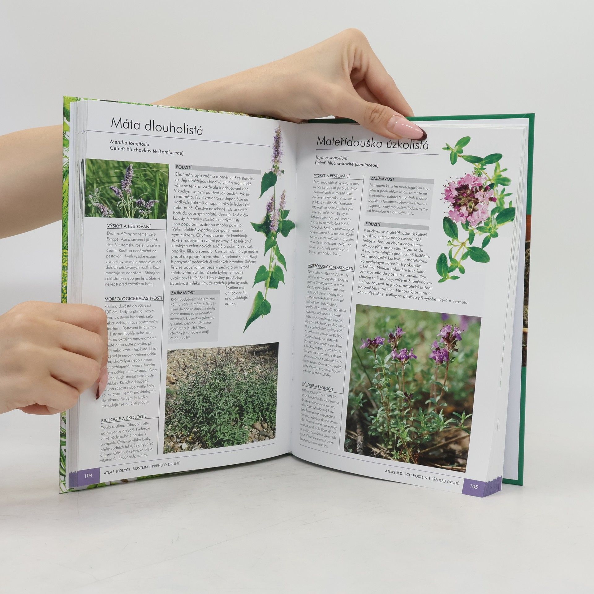 Aleksandra Halarewicz Atlas jedlých rostlin : 120 jedlých druhů