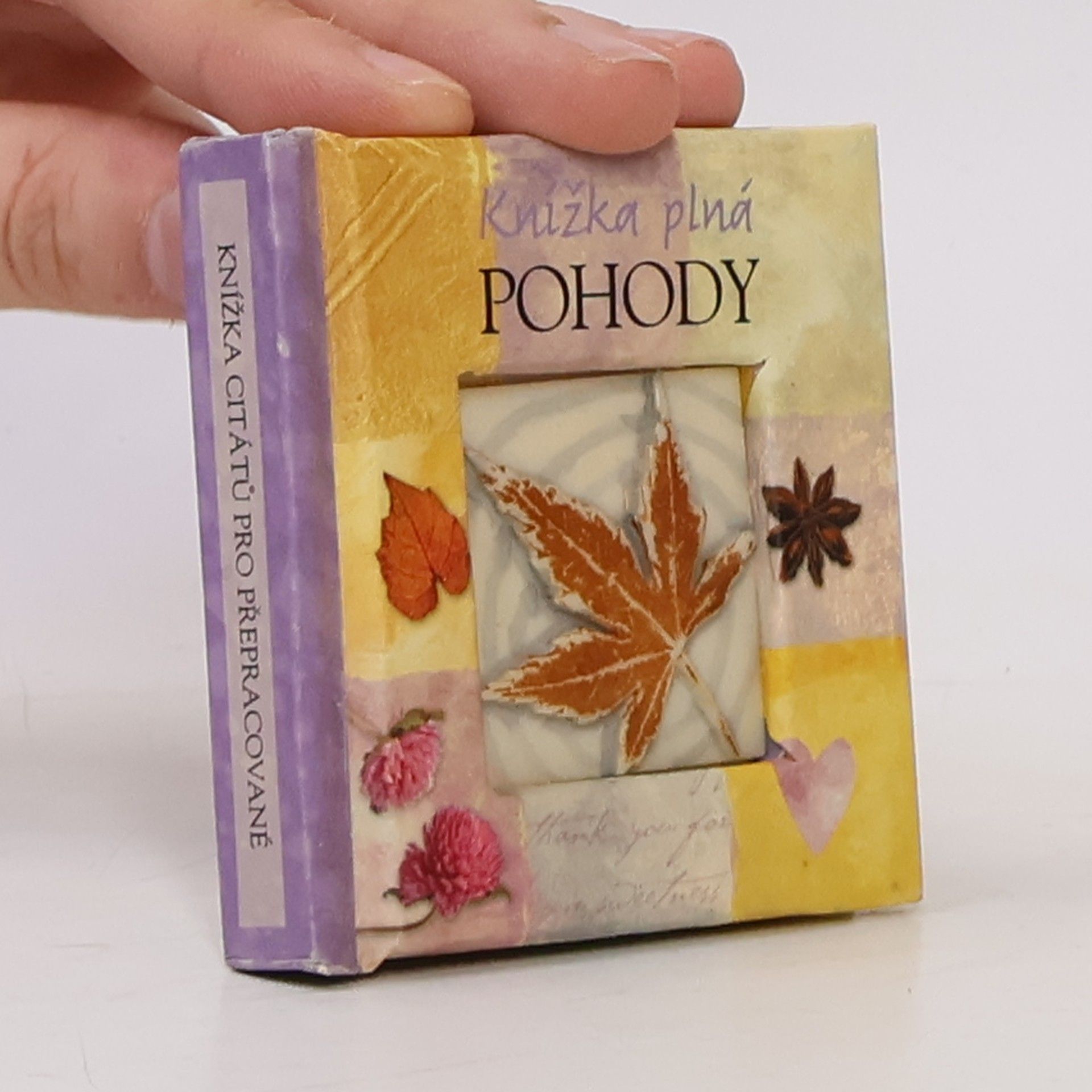 Autorenkollektiv Knížka plná pohody. Malá knížka citátů