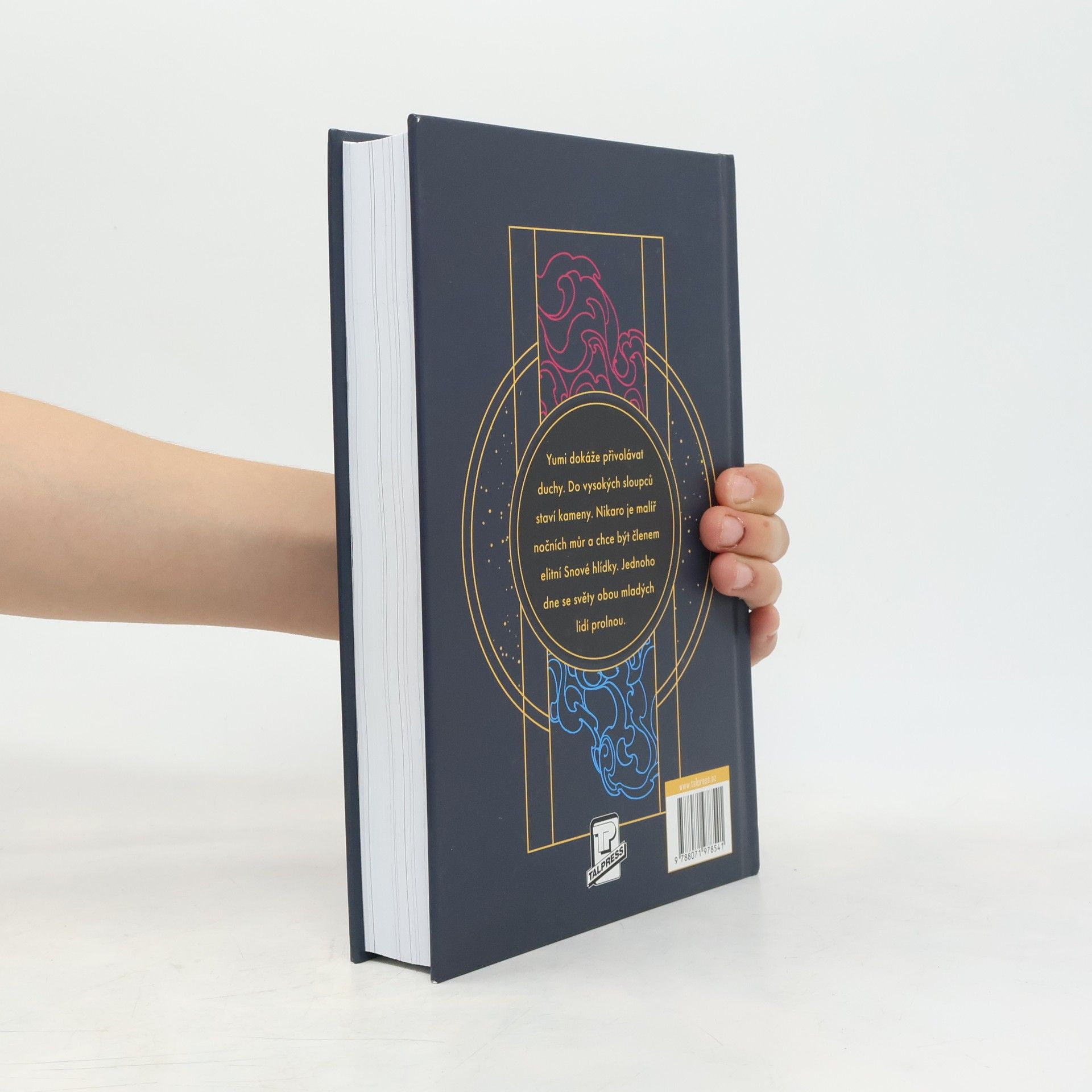 Brandon Sanderson Yumi a malíř nočních můr