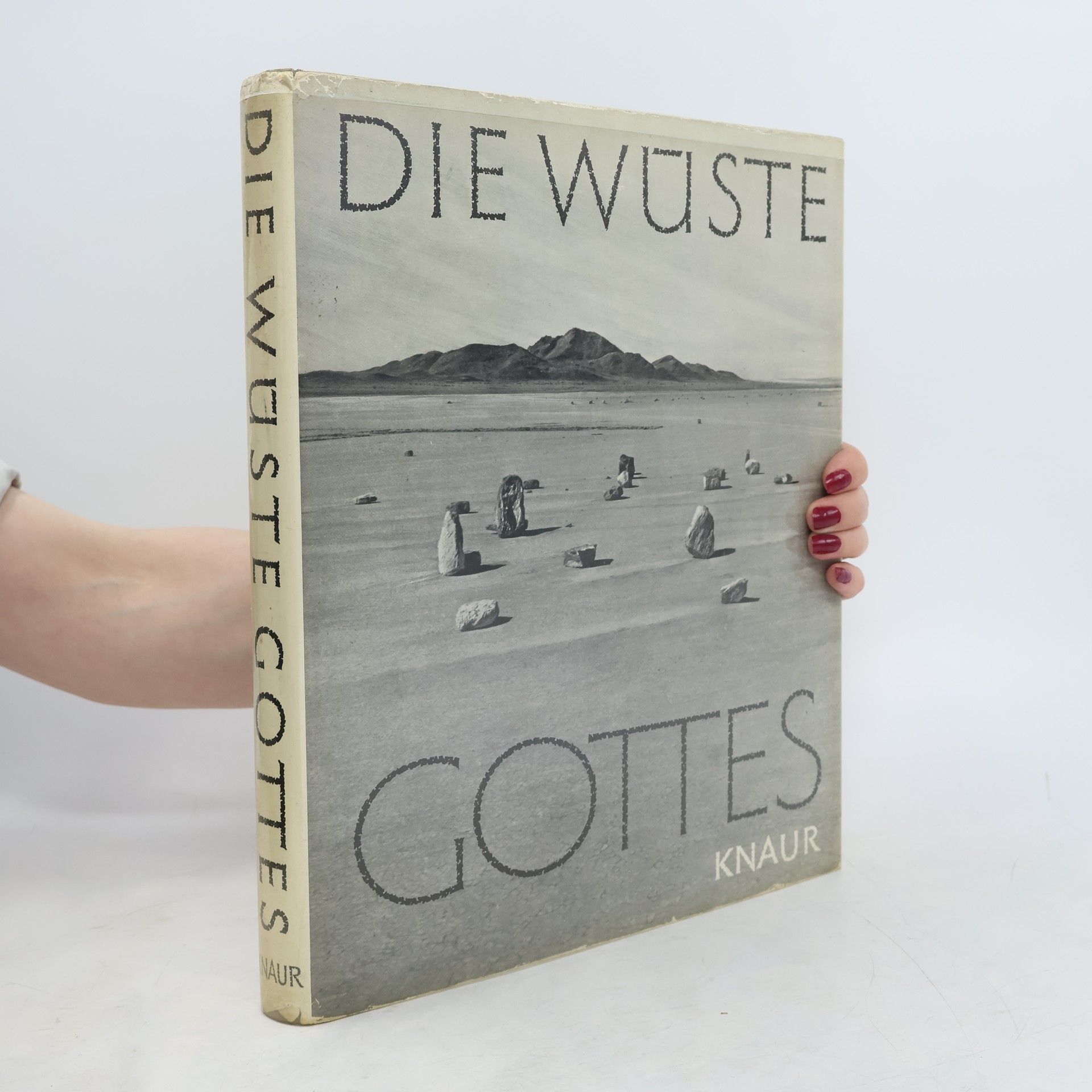 Lotte Stuart Die Wüste Gottes