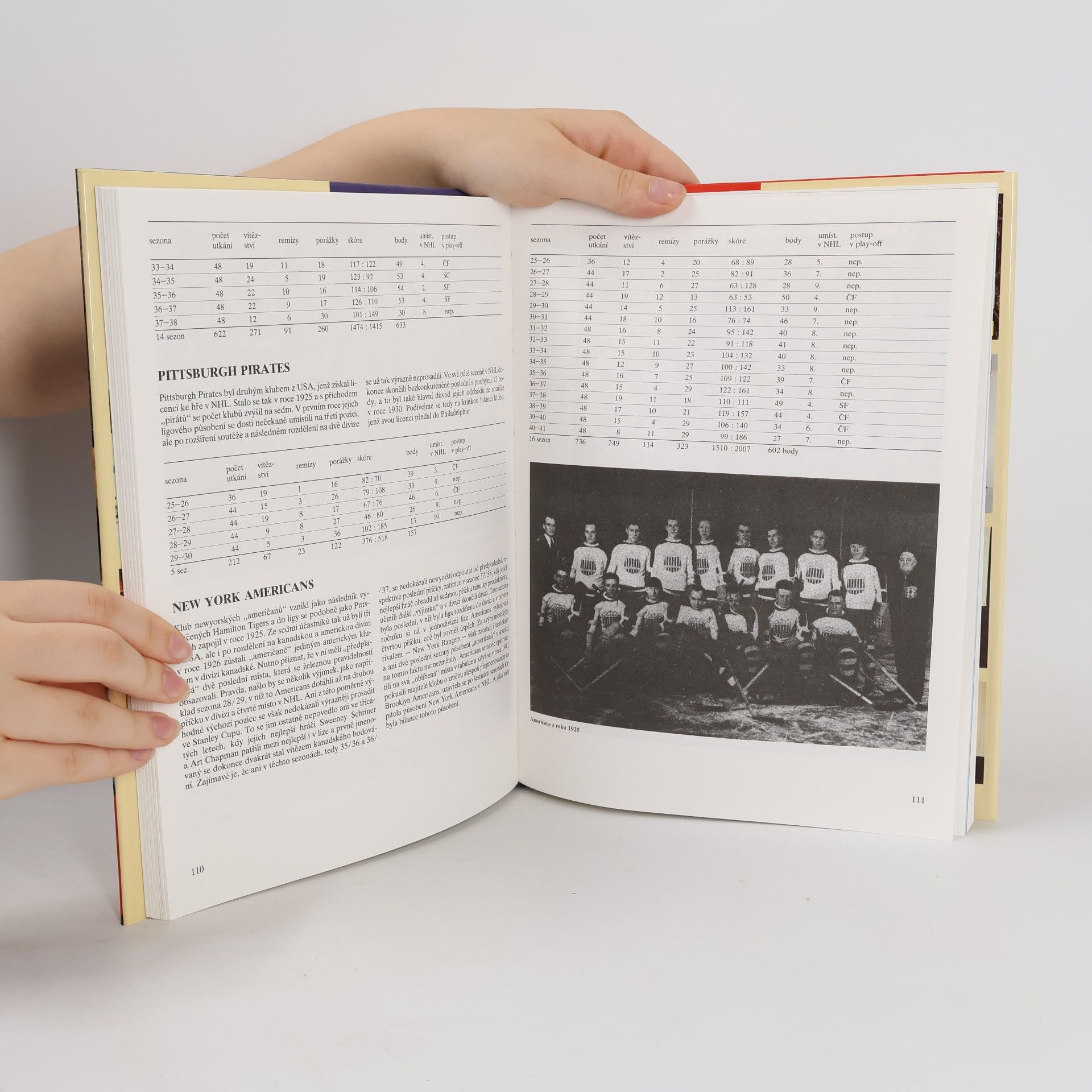 Jiří Stránský Historie National Hockey League: 1917-1993
