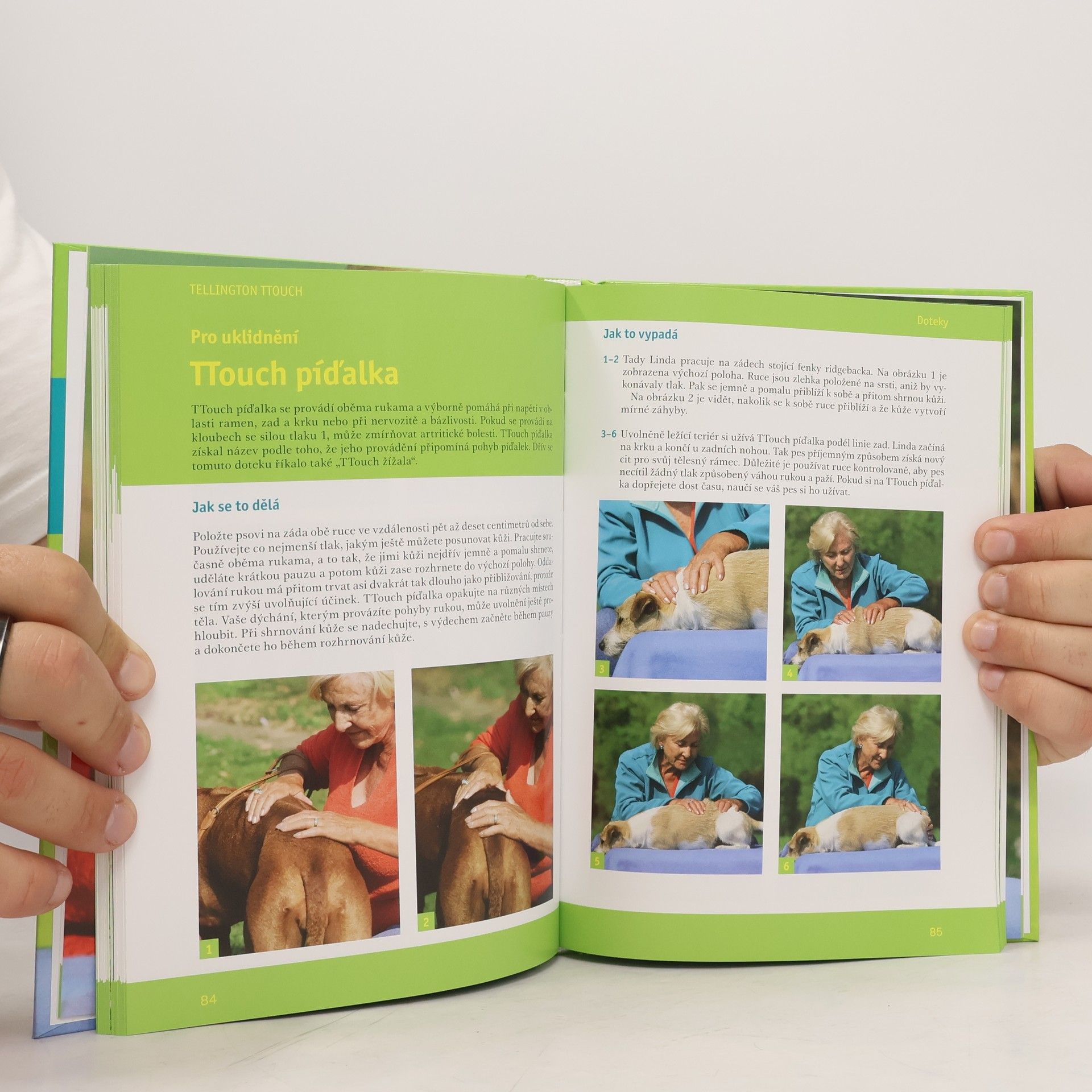 Linda Jones Tellington TTouch pro psy: Dotyky pro zdraví a hlubší vztah s vaším psem