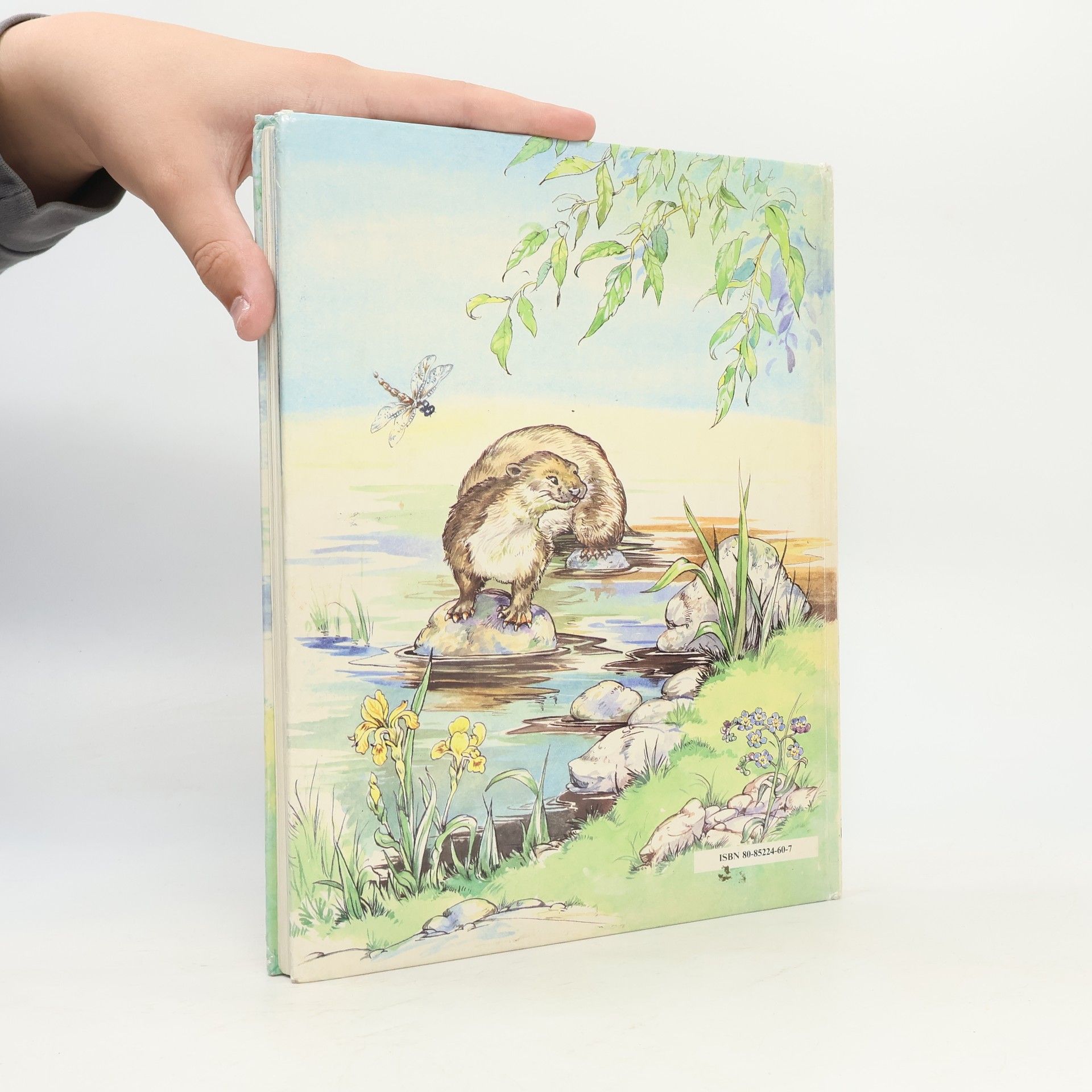 Kenneth Grahame Vyprávění pod vrbou