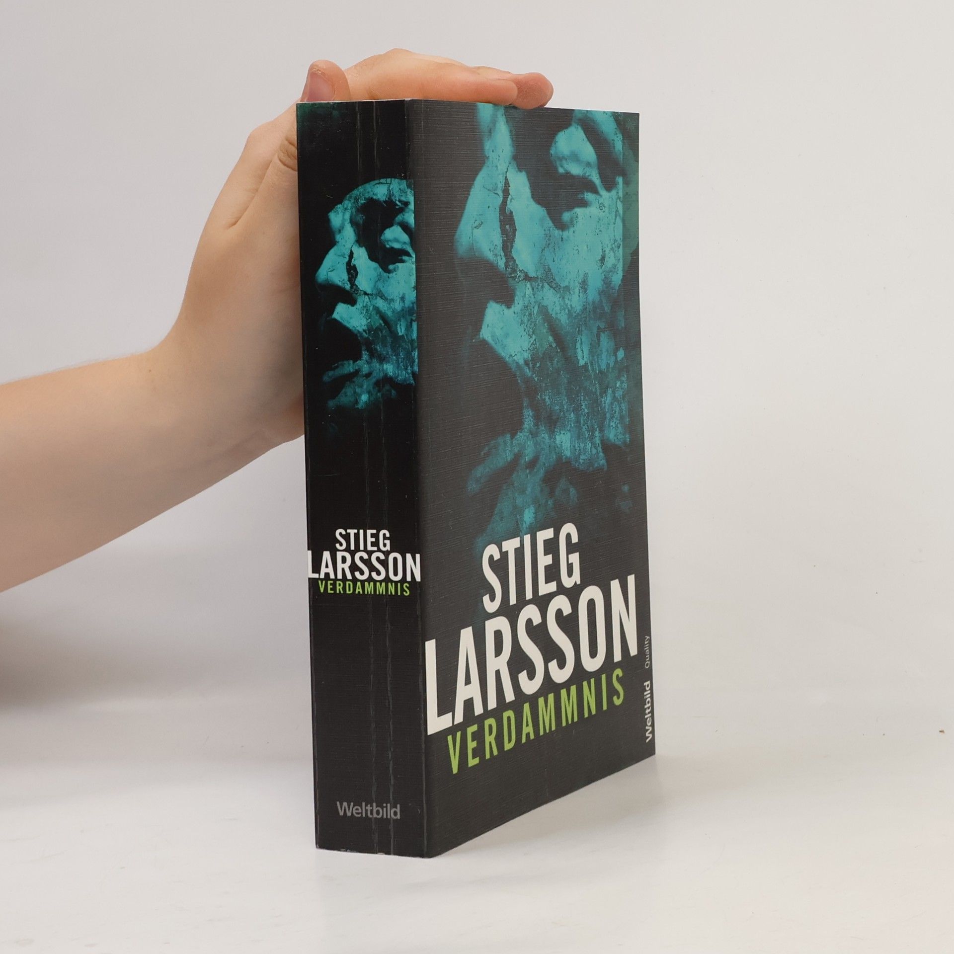 Stieg Larsson Verdammnis