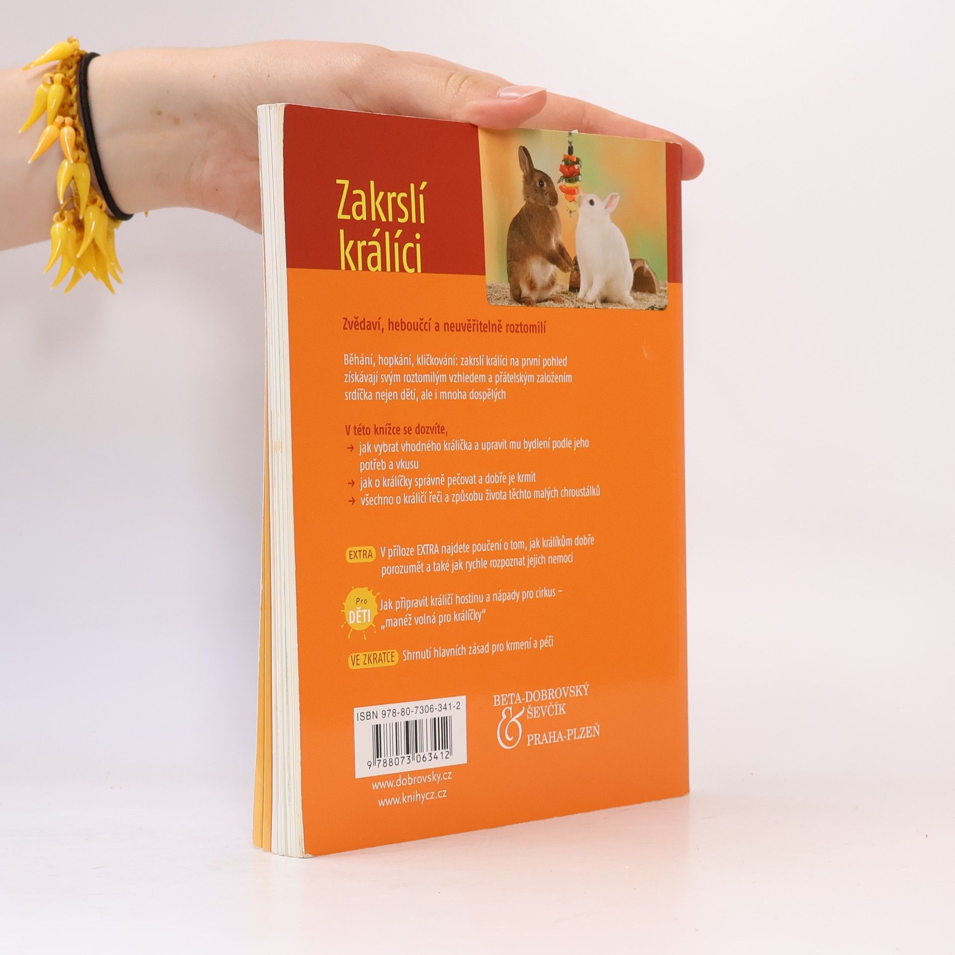 Angela Beck Zakrslí králíci: Chov & péče, porozumění & zabavení